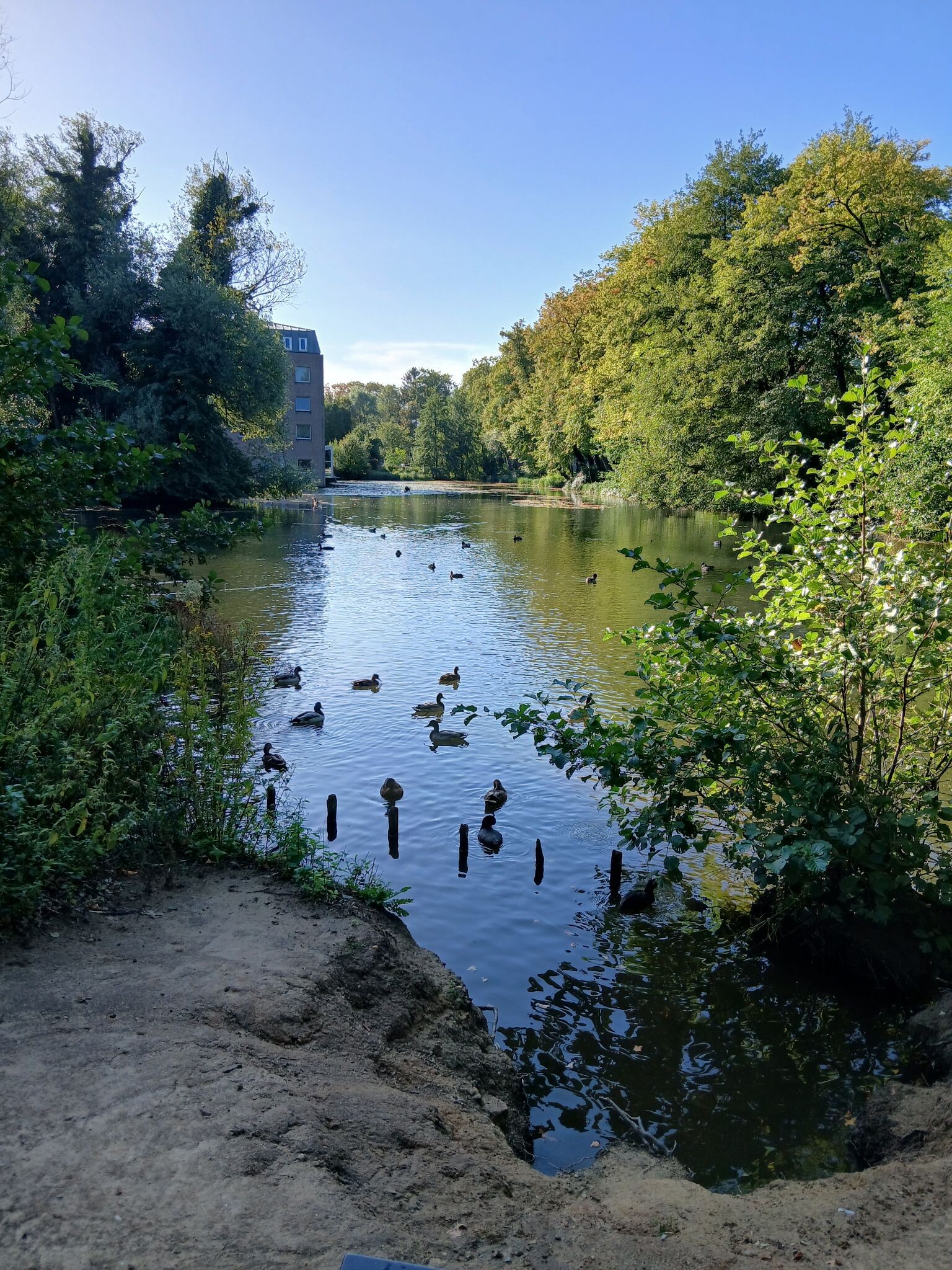 Tuinen en kloosters