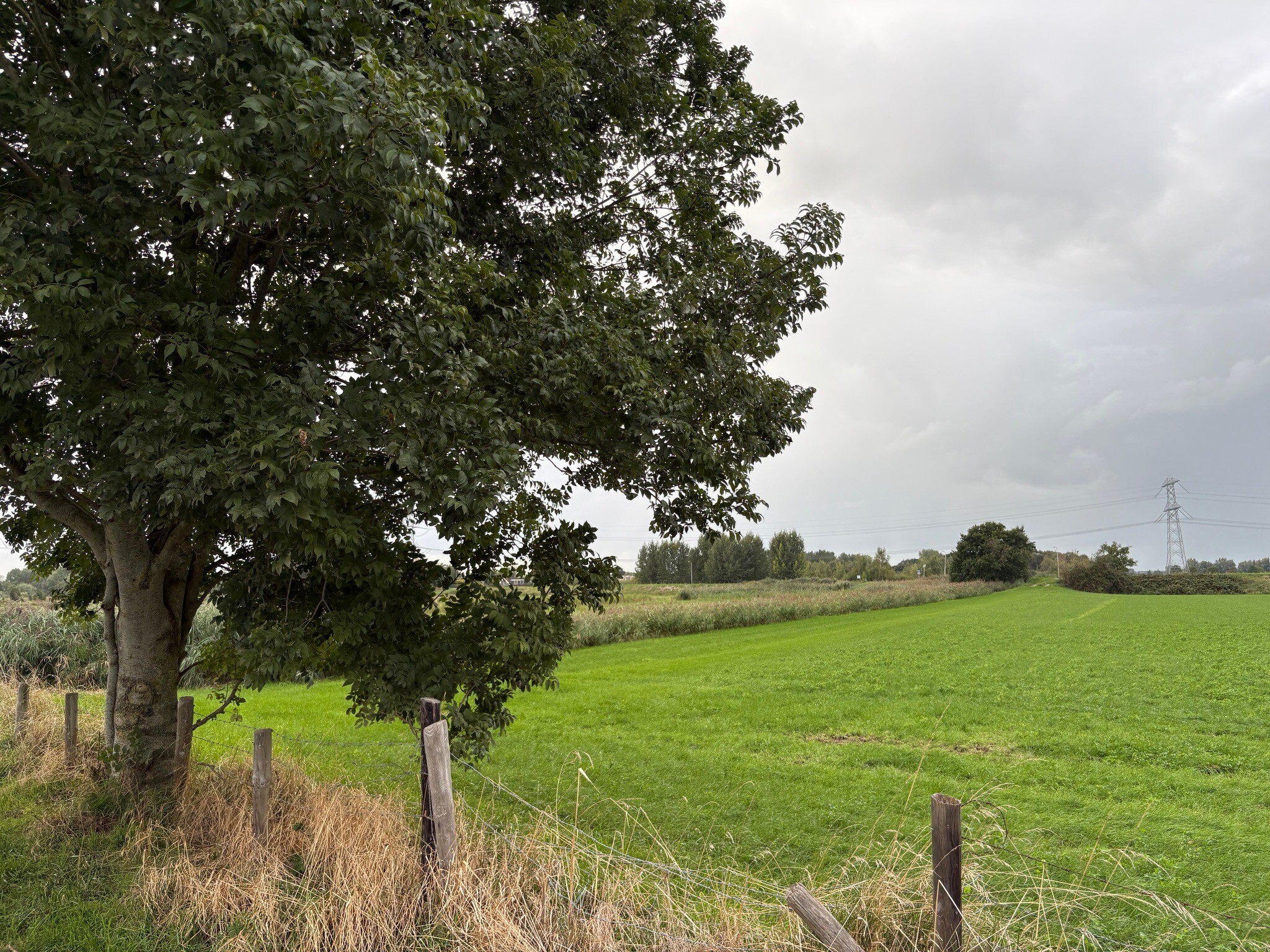 Hollandse IJsselpad