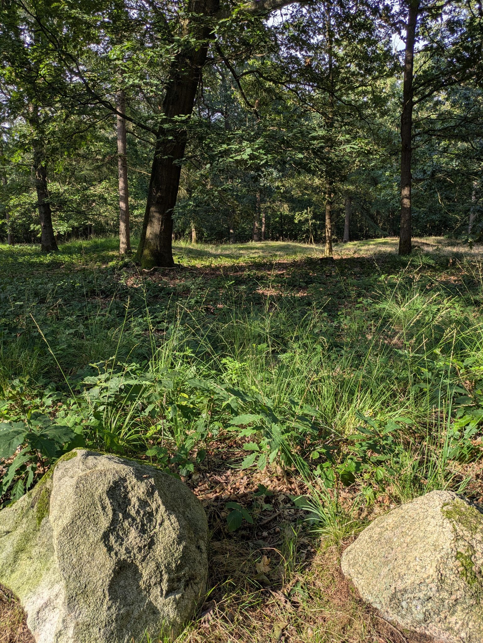 Wandelroute Archeologie Sleenerzand