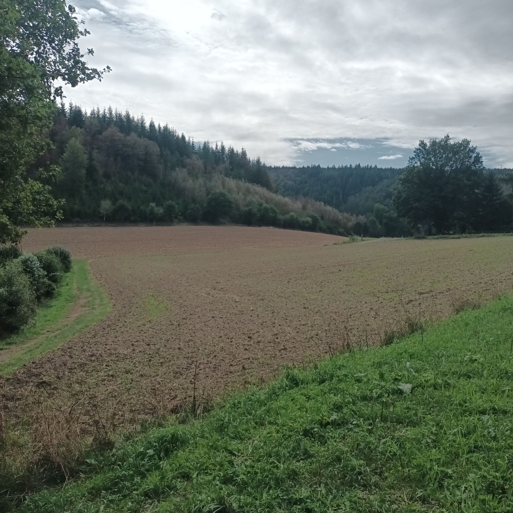 La Roche-en-Ardenne