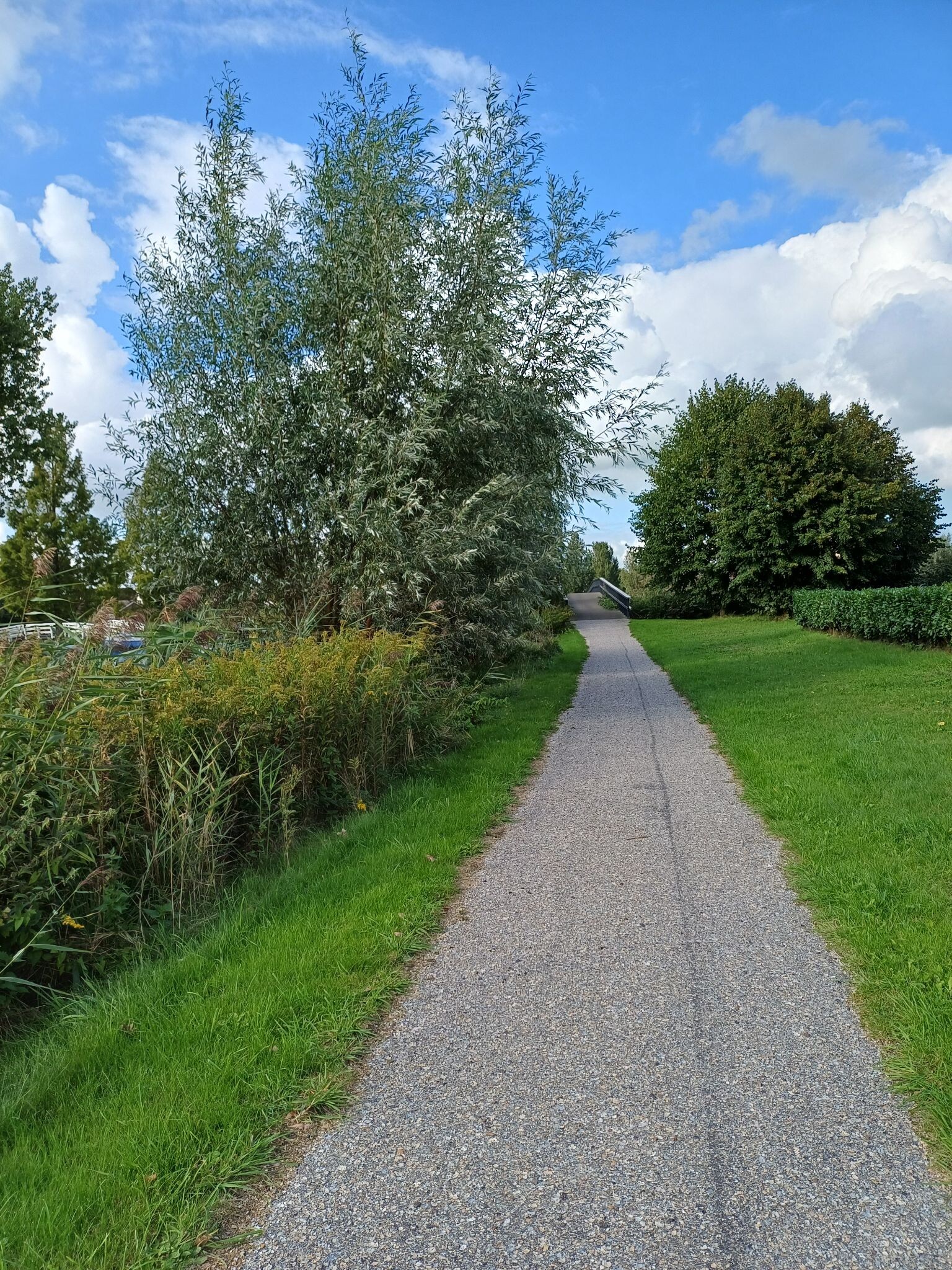 Buurtwandeling