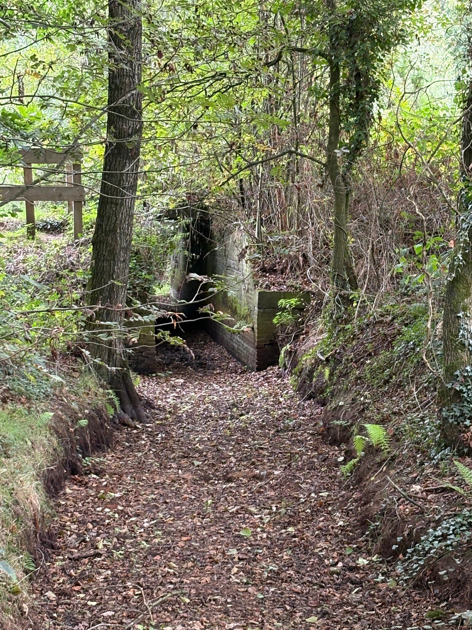 Scholtenpad Dagwandeling E