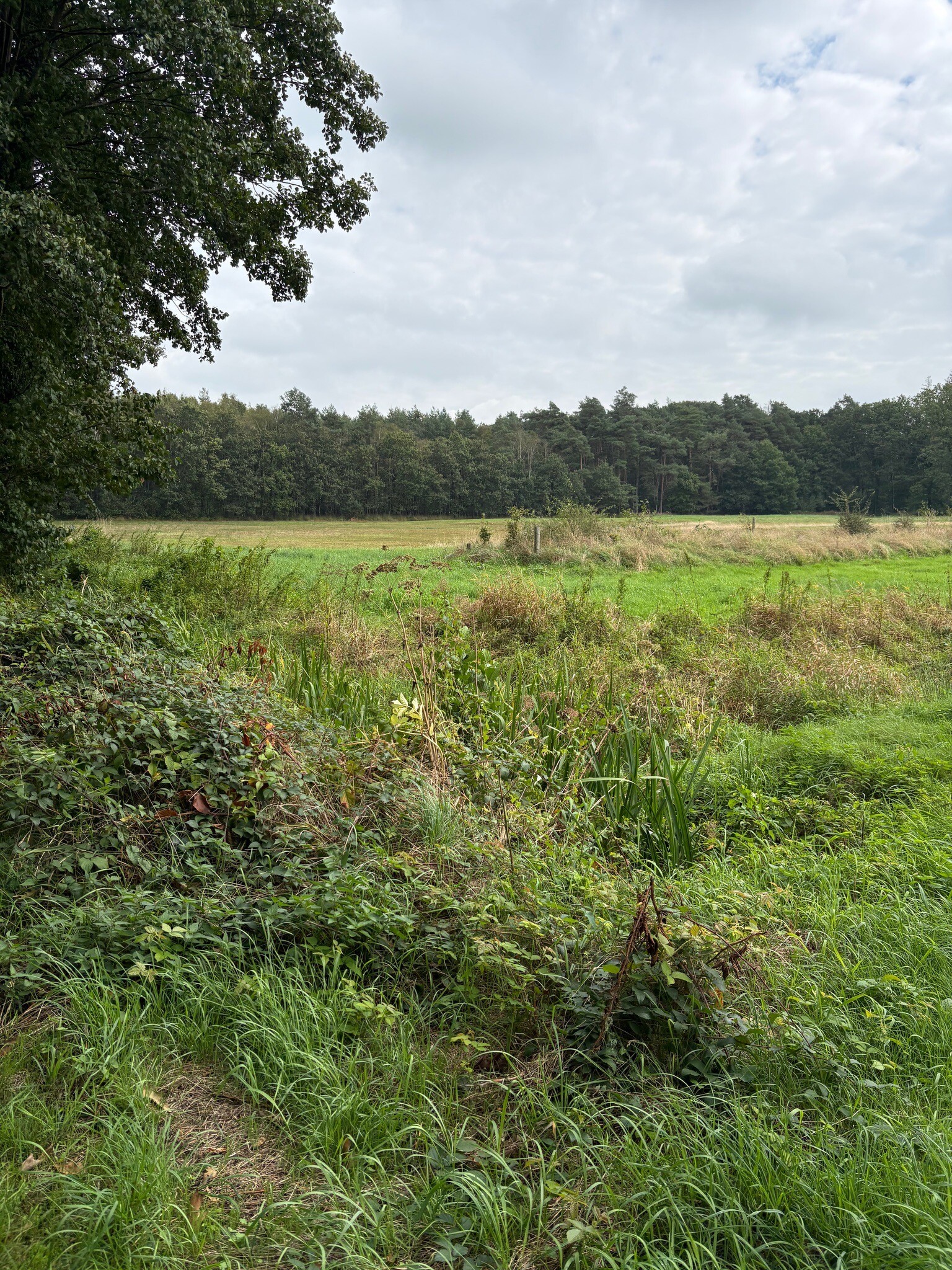 Winterswijk Kotten