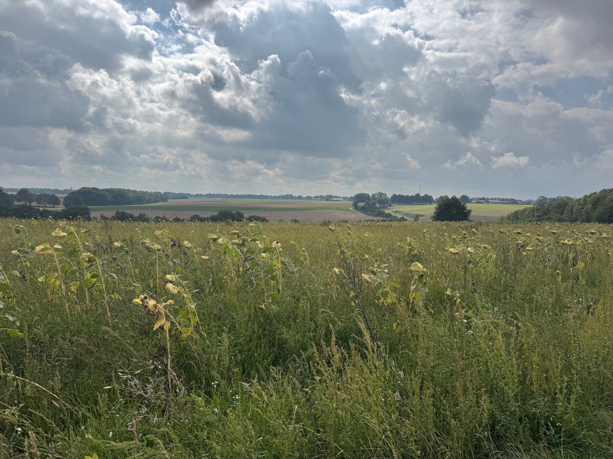 Sittard - Strabeek · Pieterpad etappe 25