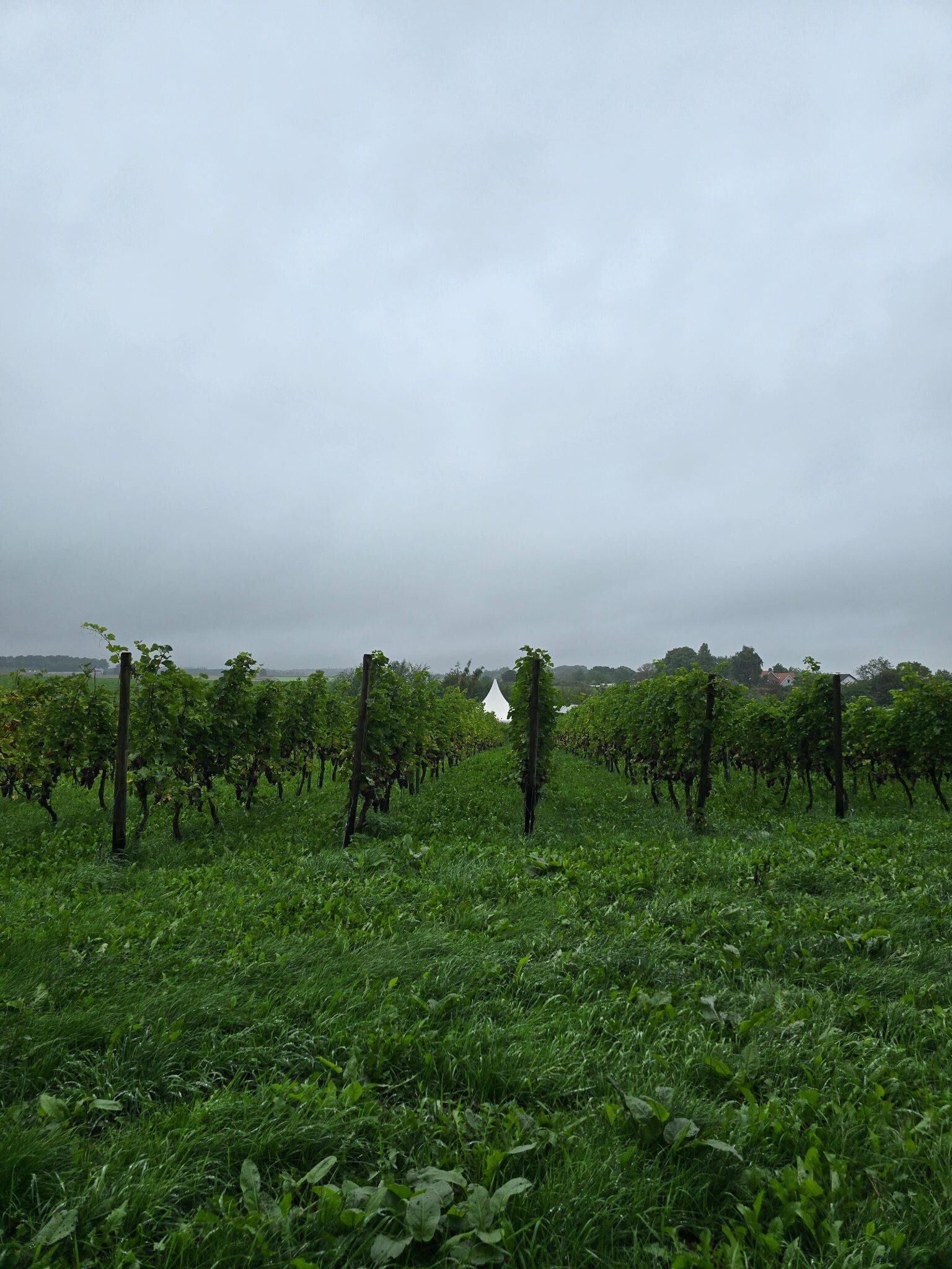 Rondhe Groevenbeek en omgeving