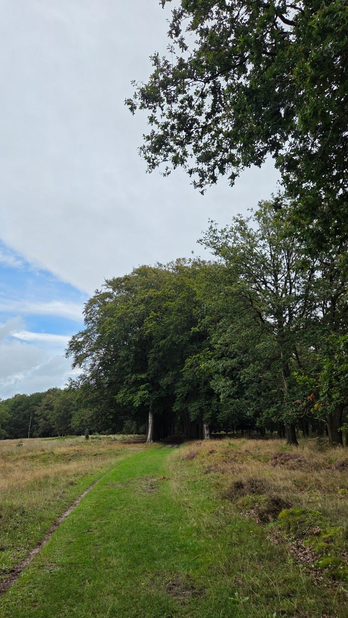Etappe 5 Cultuurpad Coevorden