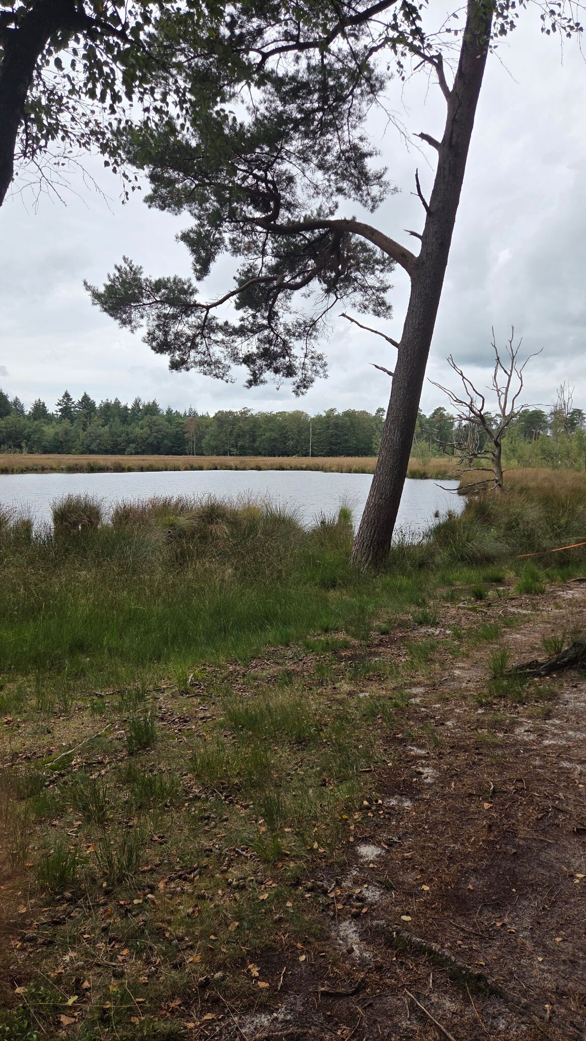 Drouwen
