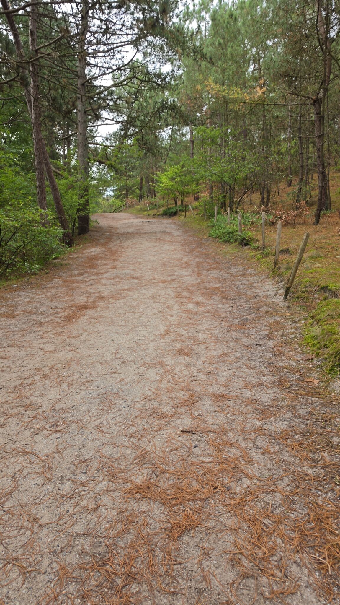 Bergen (NH)