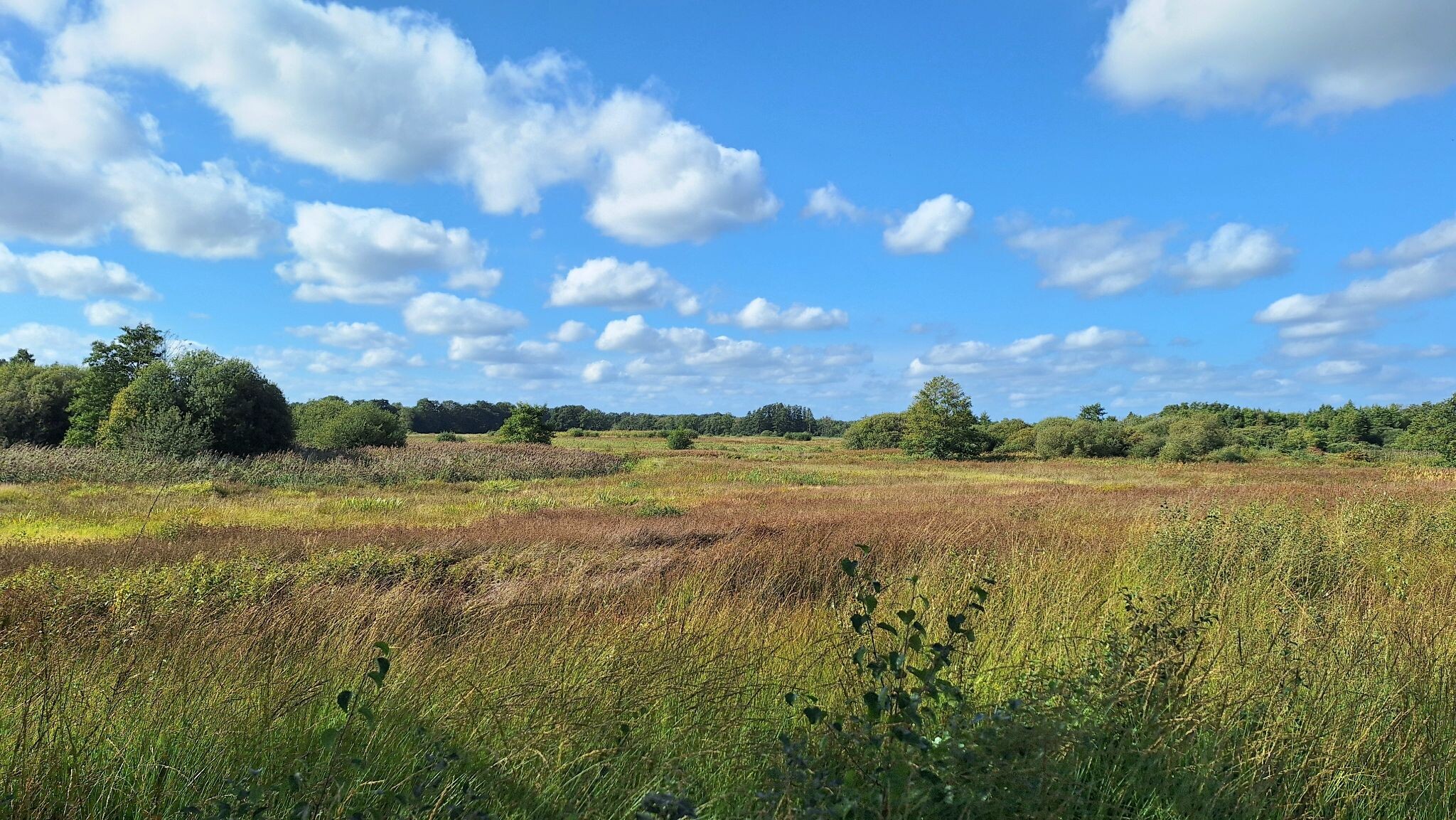 Over het Balloërveld vanuit Rolde