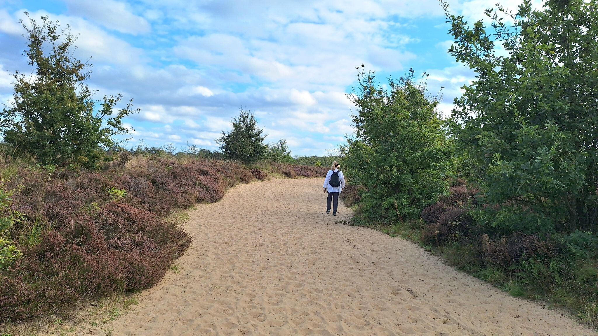 Over het Balloërveld vanuit Rolde