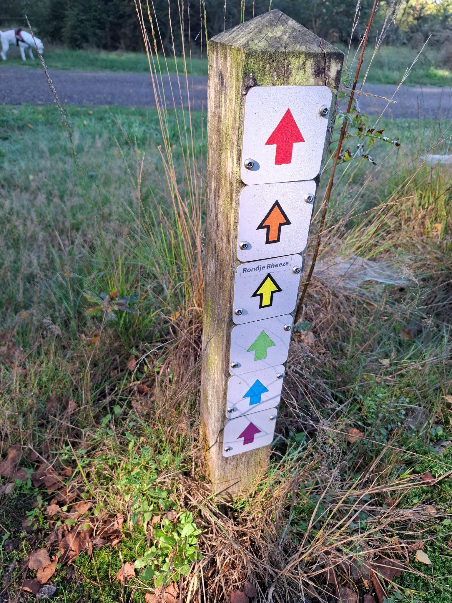 Hardenberg