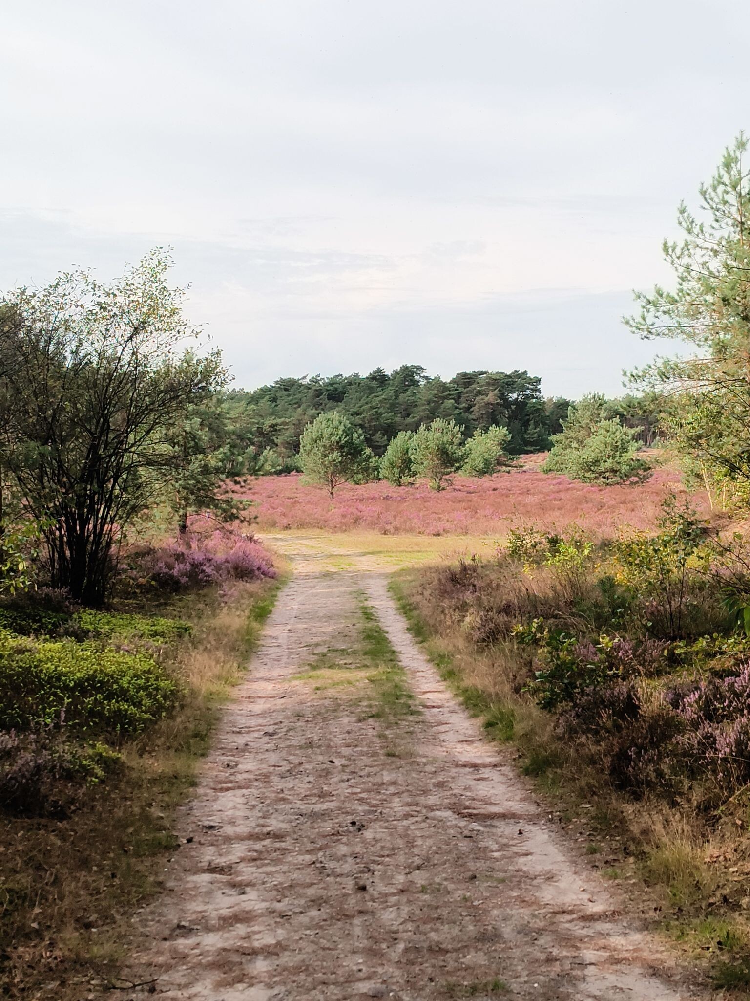Wandelroute Hendrikszand 