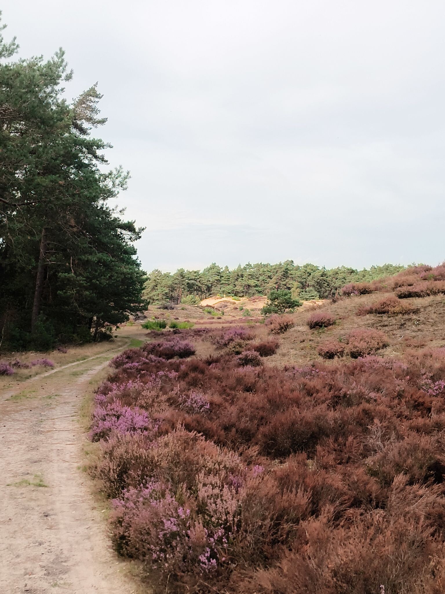 Wandelroute Hendrikszand 