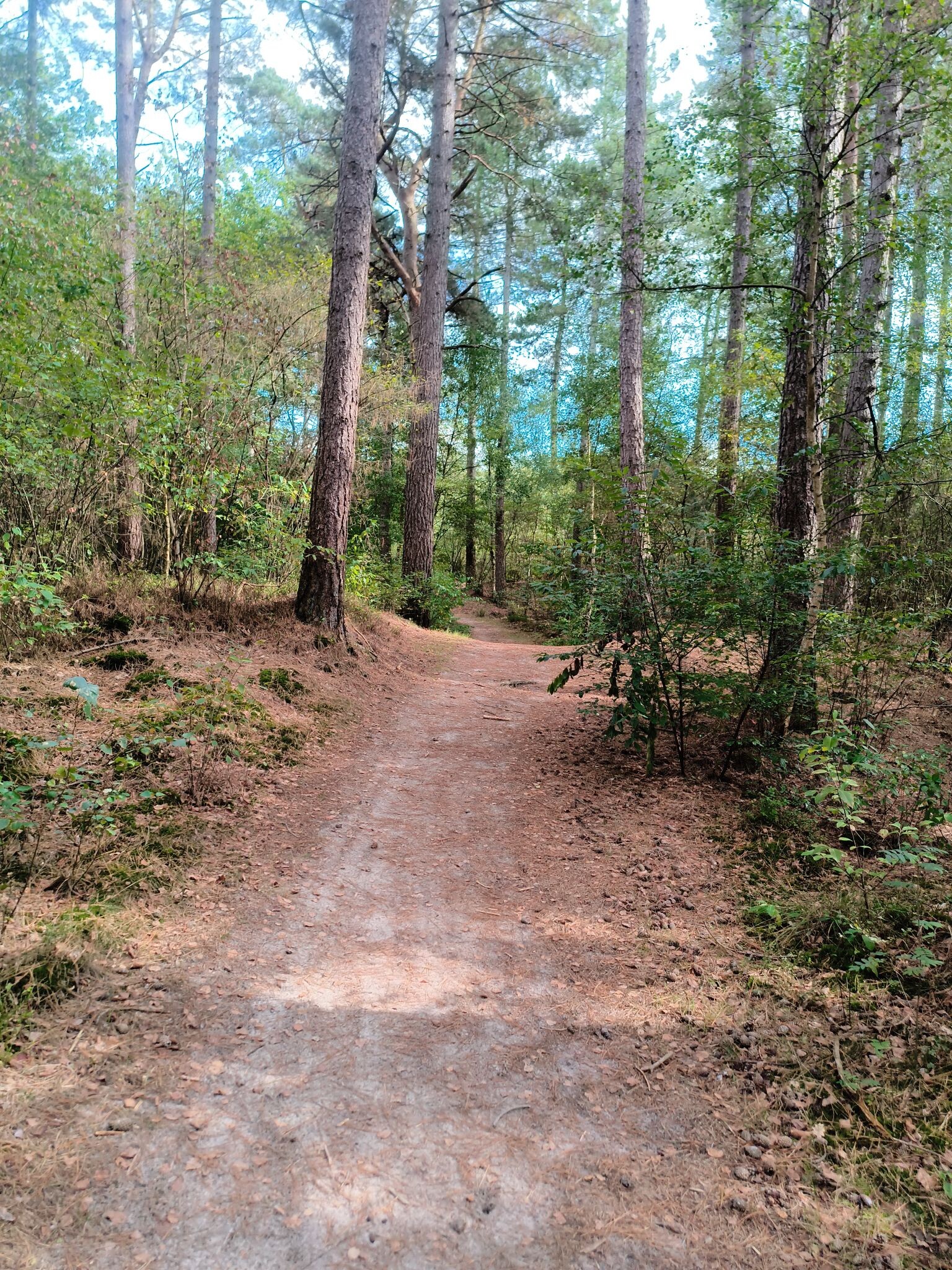 Wandelroute Hendrikszand 