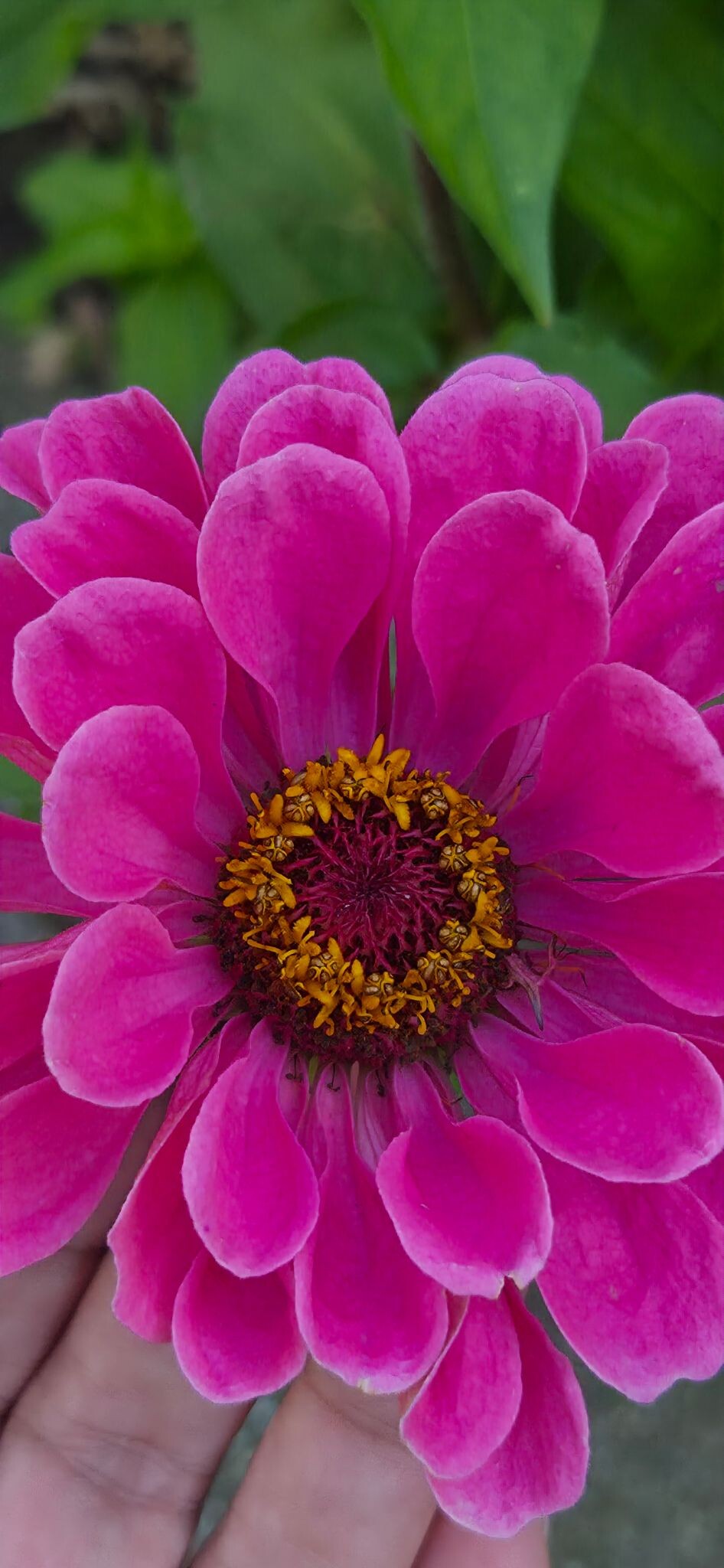 Foto van opname