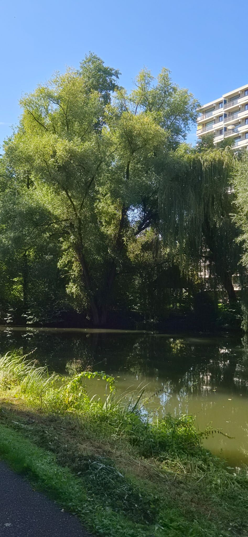 Rondje door deel het immerloopark. Was nog best warm