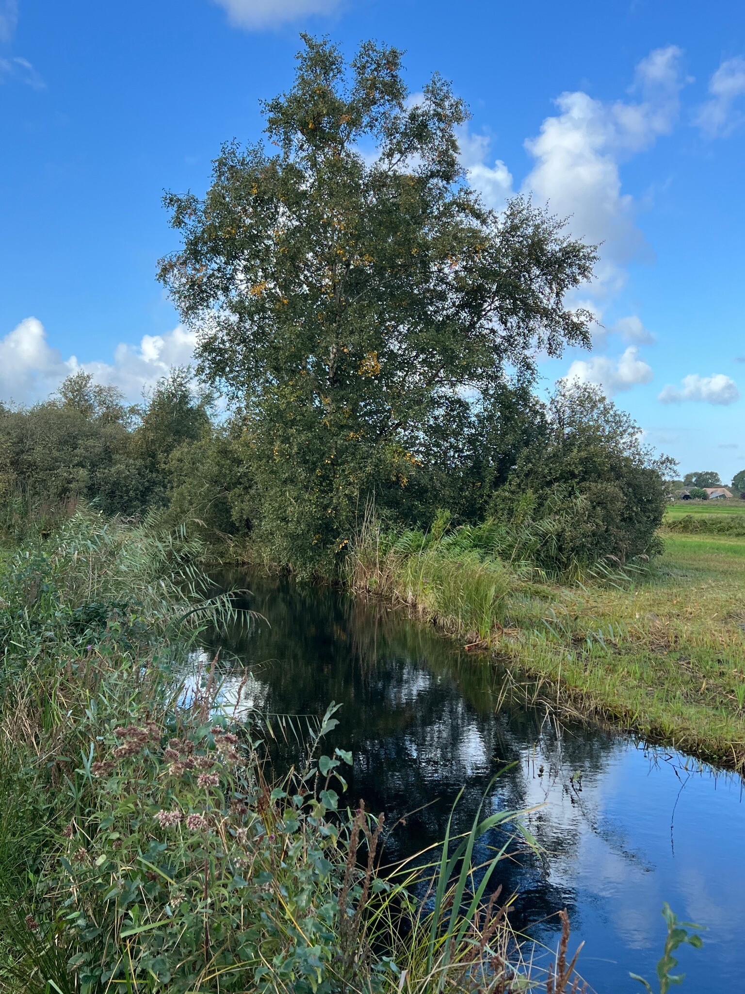 Laarzenpad bij Bezoekerscentrum De Wieden