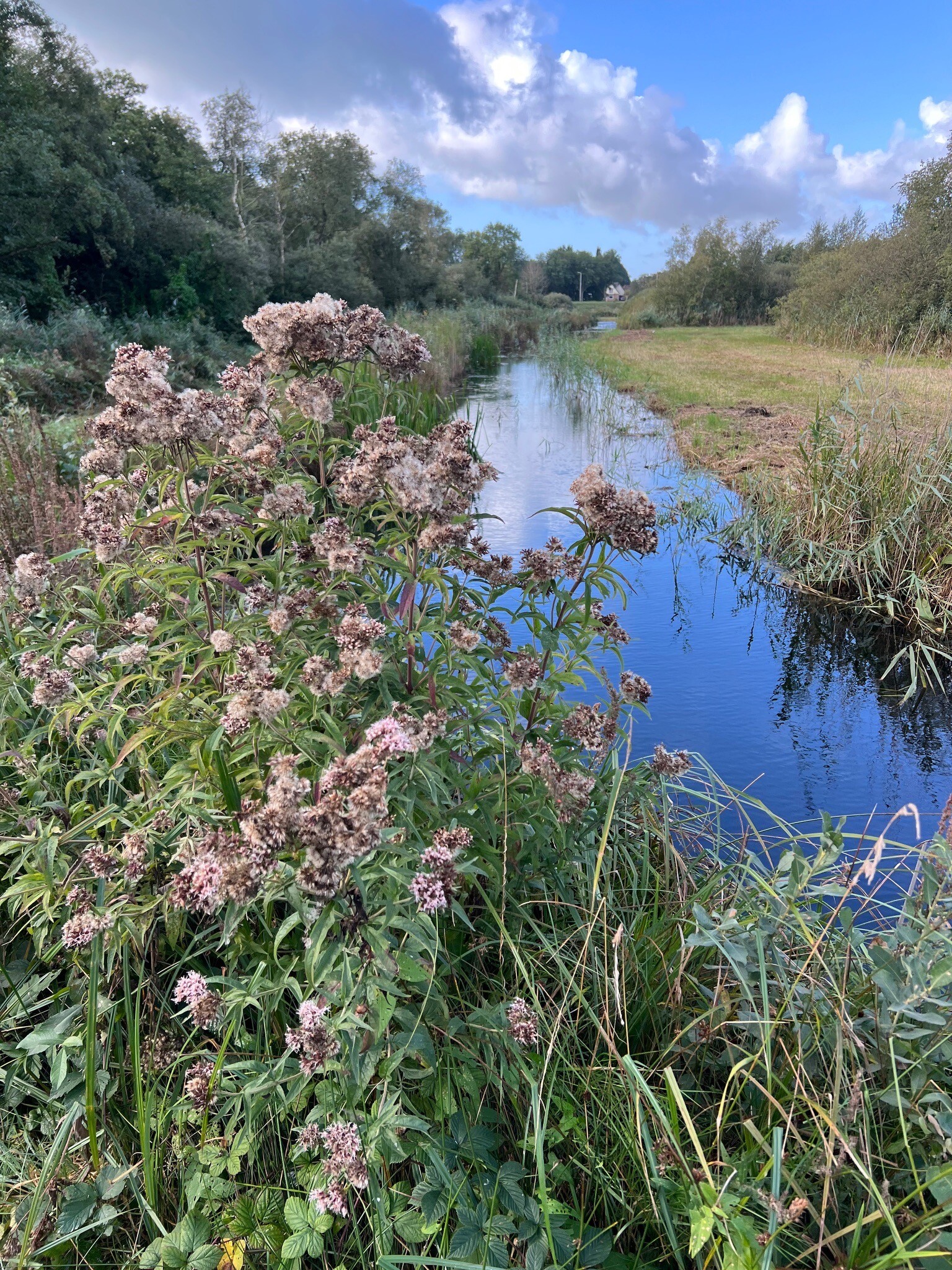 Laarzenpad bij Bezoekerscentrum De Wieden