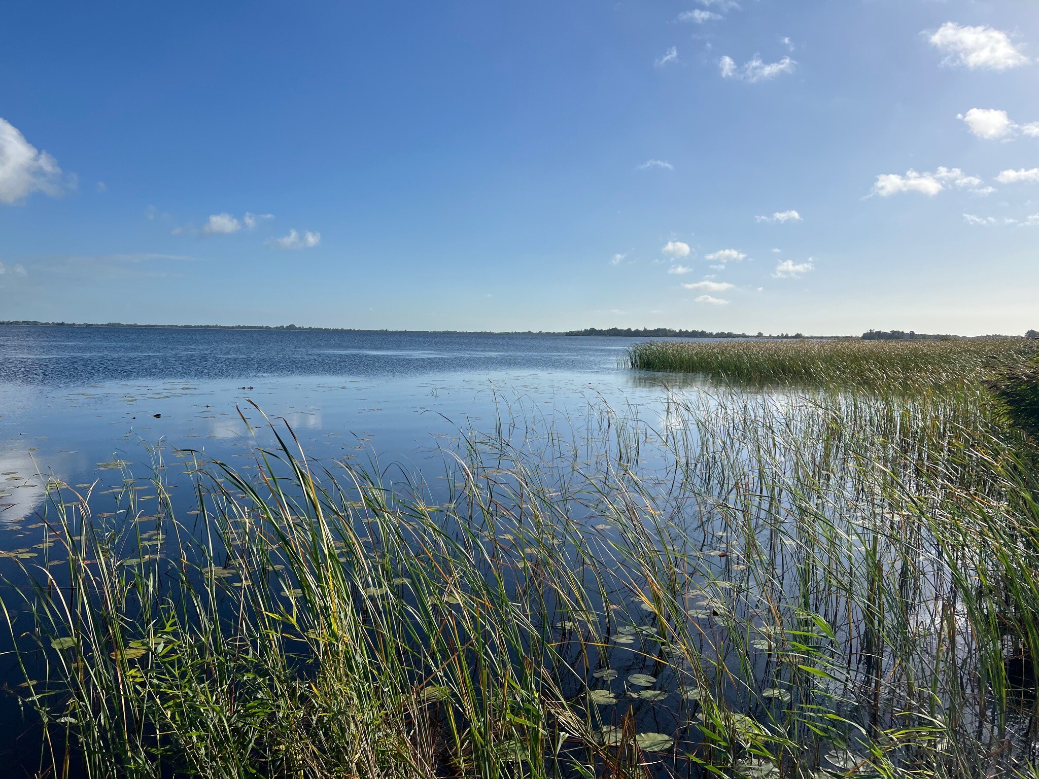 Laarzenpad bij Bezoekerscentrum De Wieden