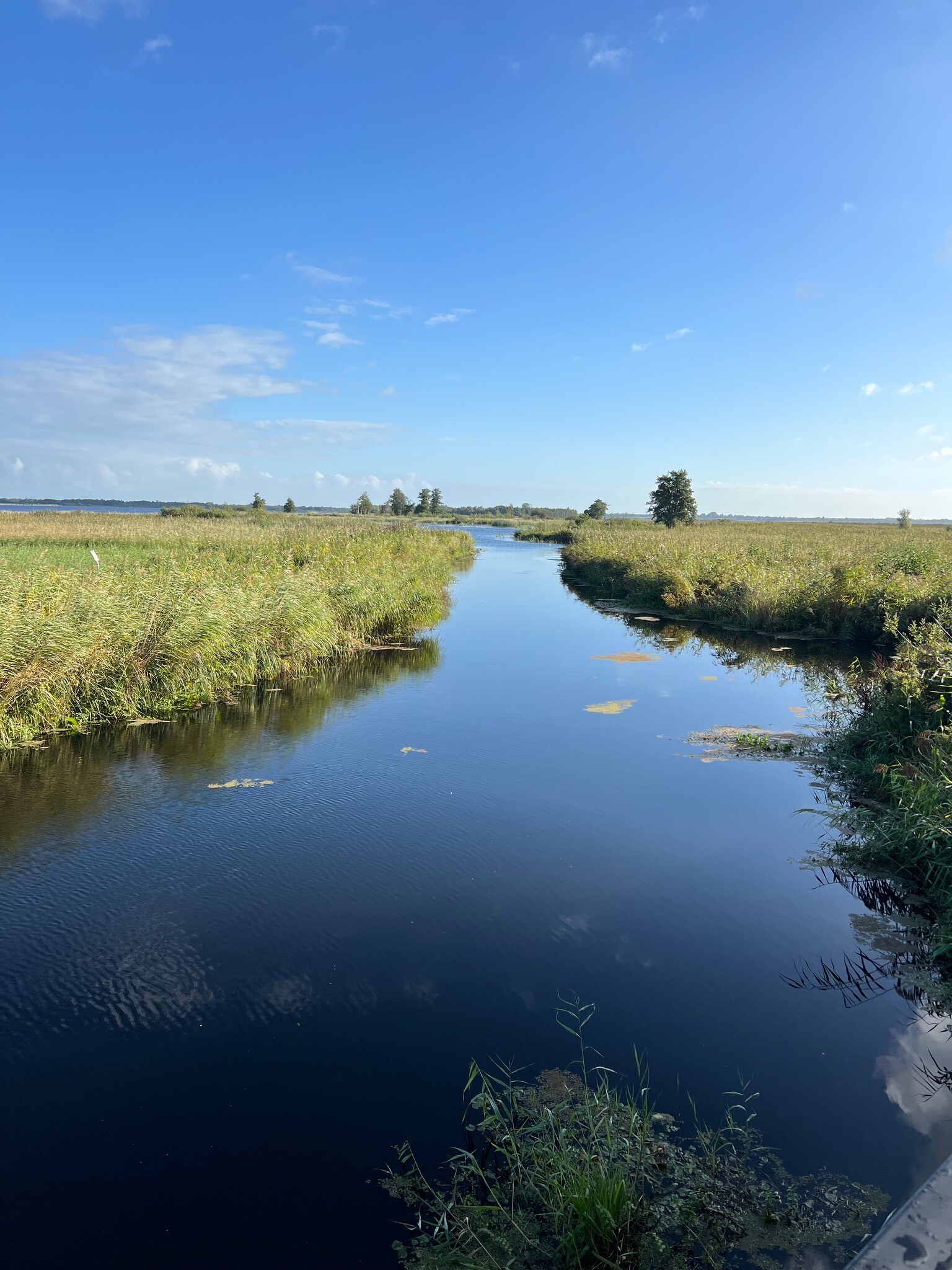 Laarzenpad bij Bezoekerscentrum De Wieden