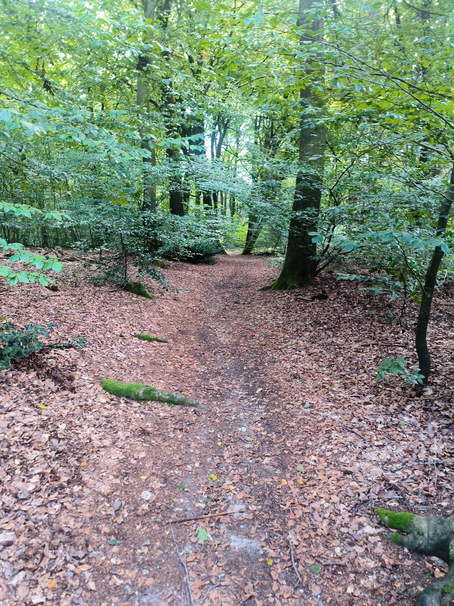 Perimeterroute Oosterbeek