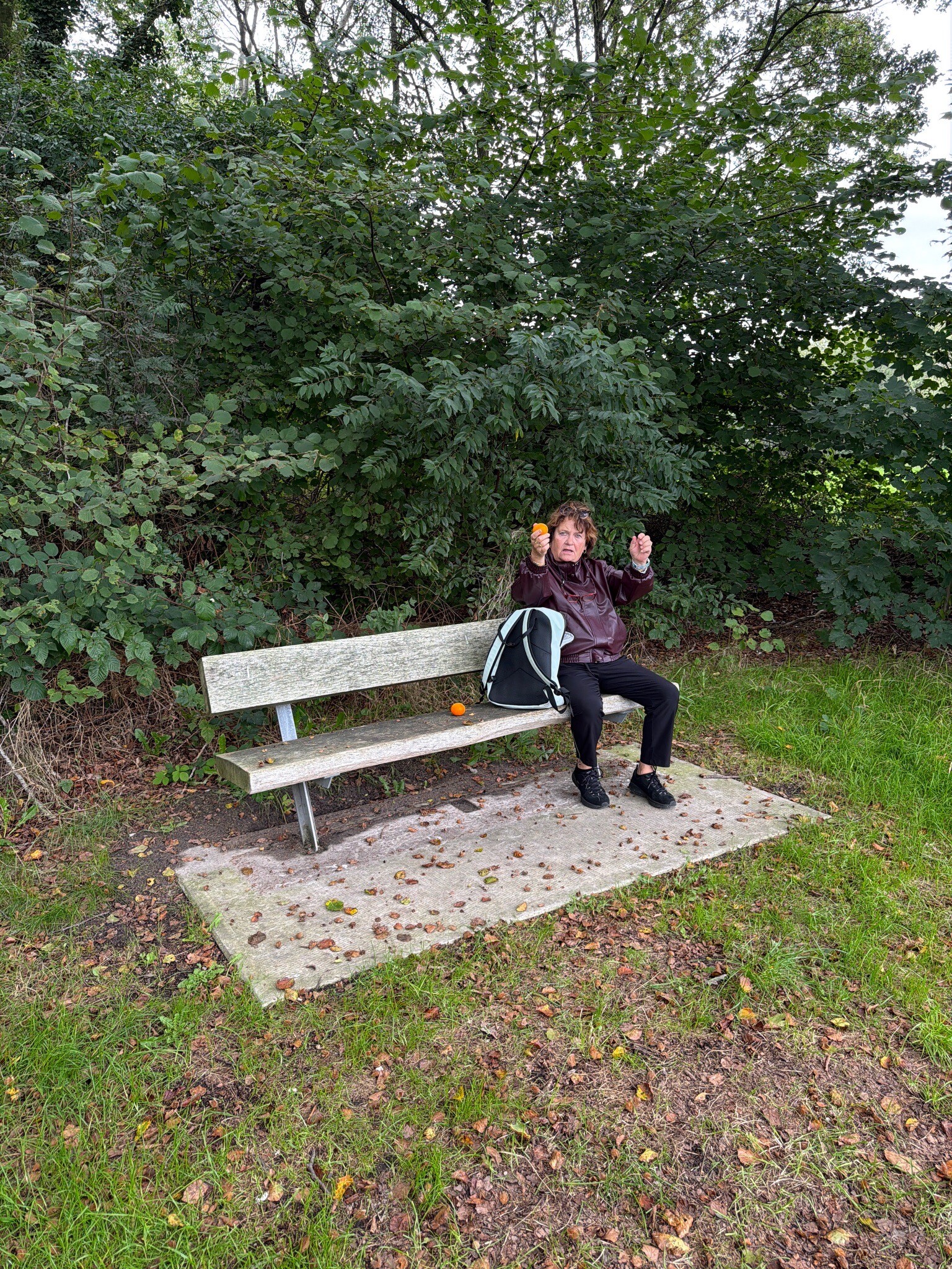 Loozerveld - Geel