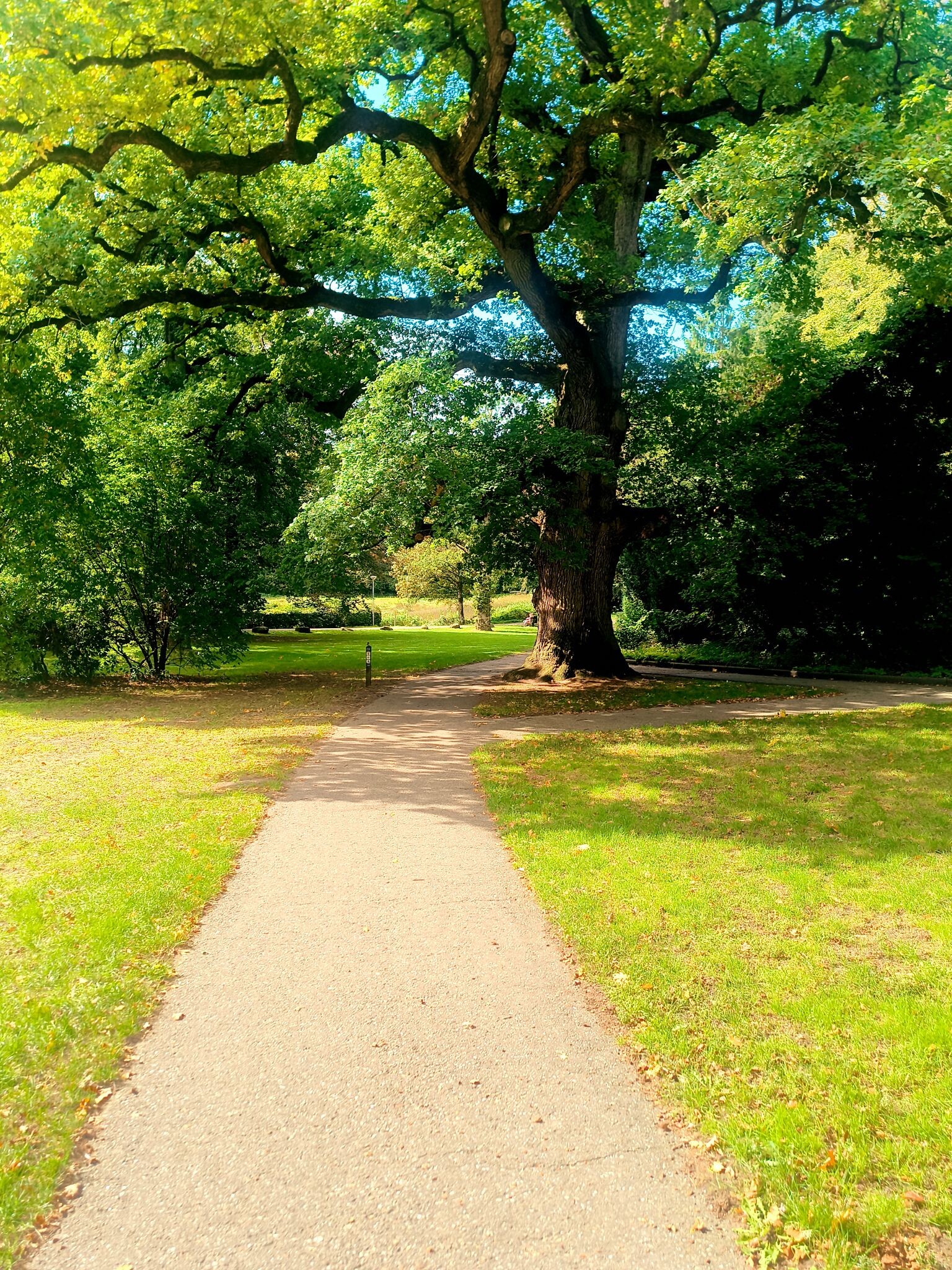 Oosterbeek