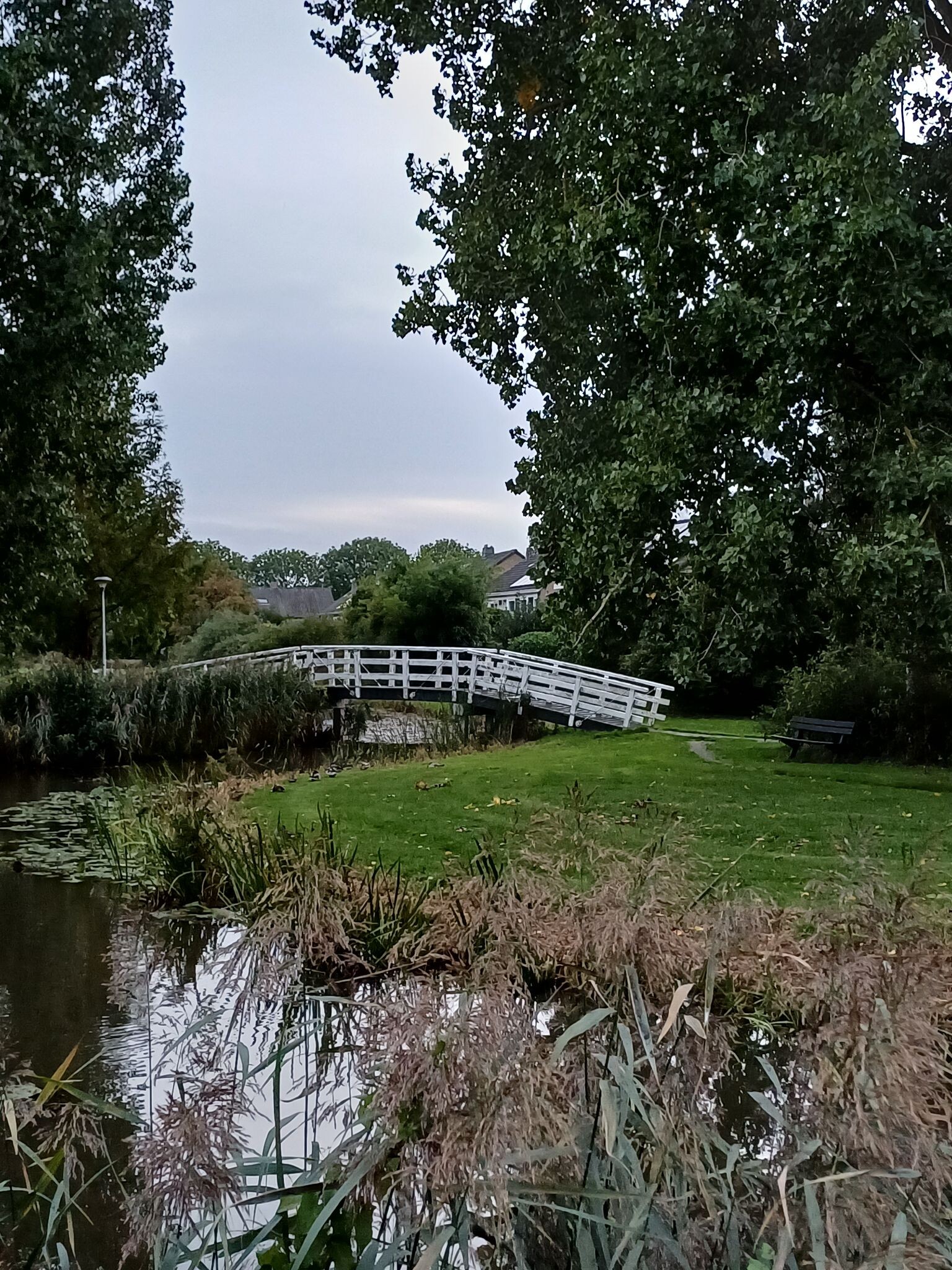 Avondwandeling