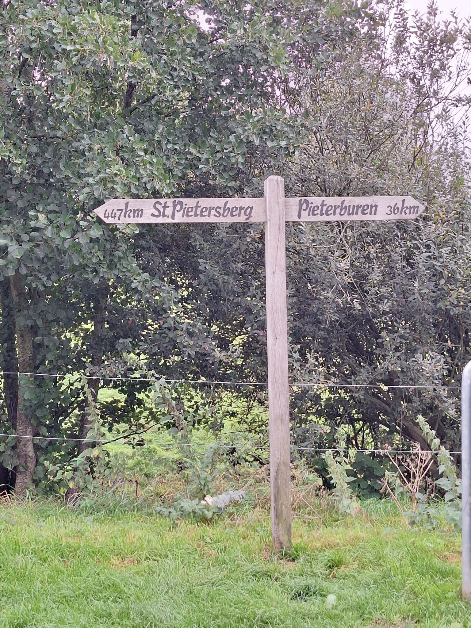 NS wandeling Haren - Groningen