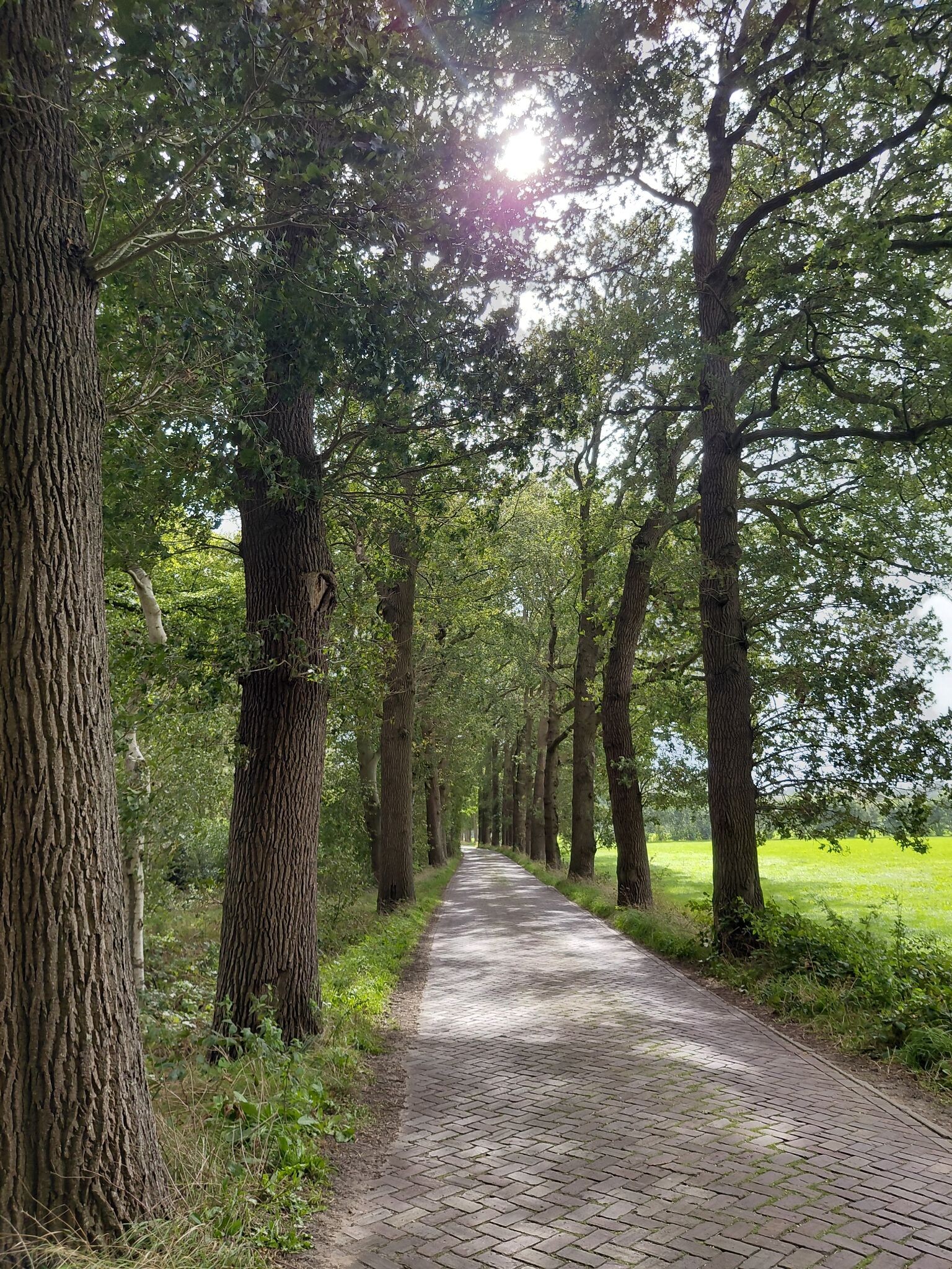 Station Dalfsen - Blauw