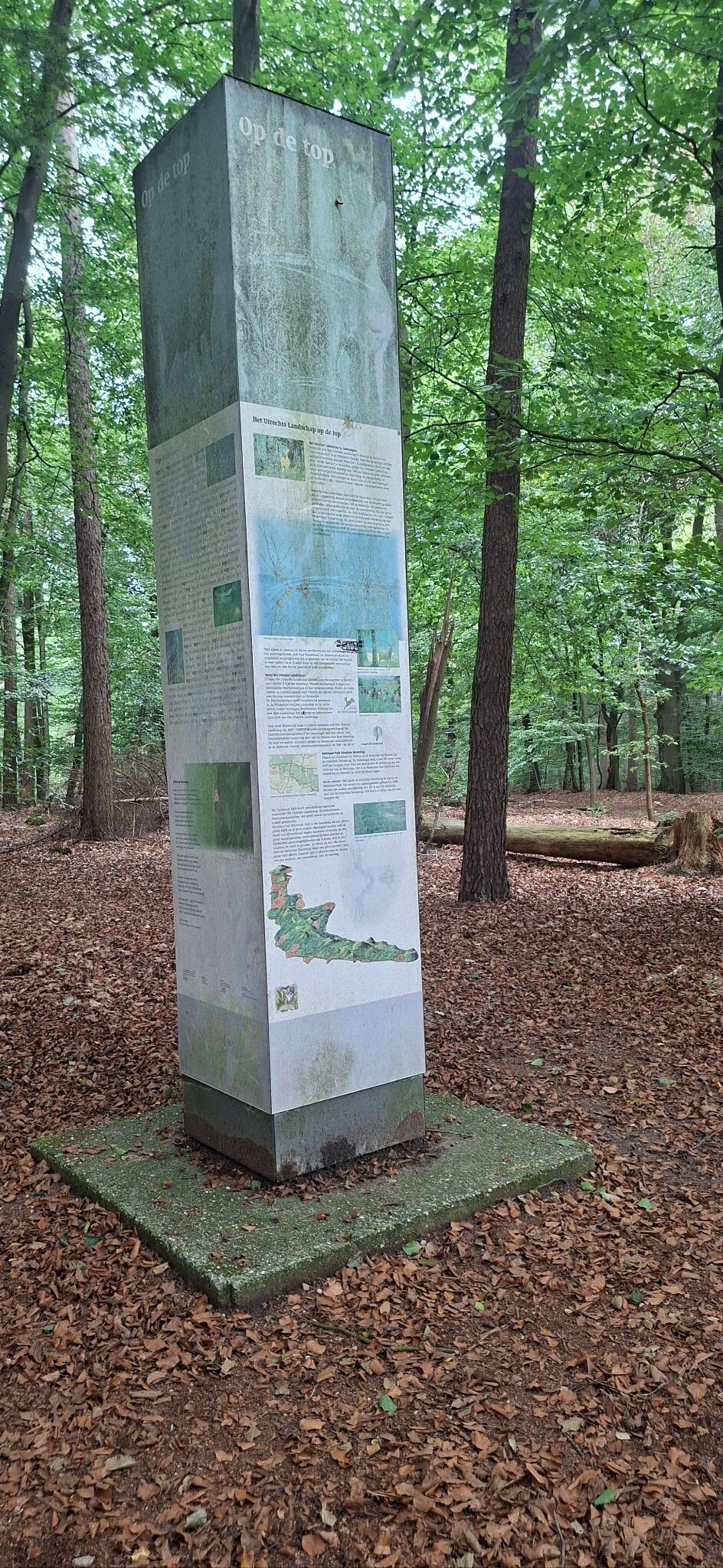 Gelukkigerwijspad