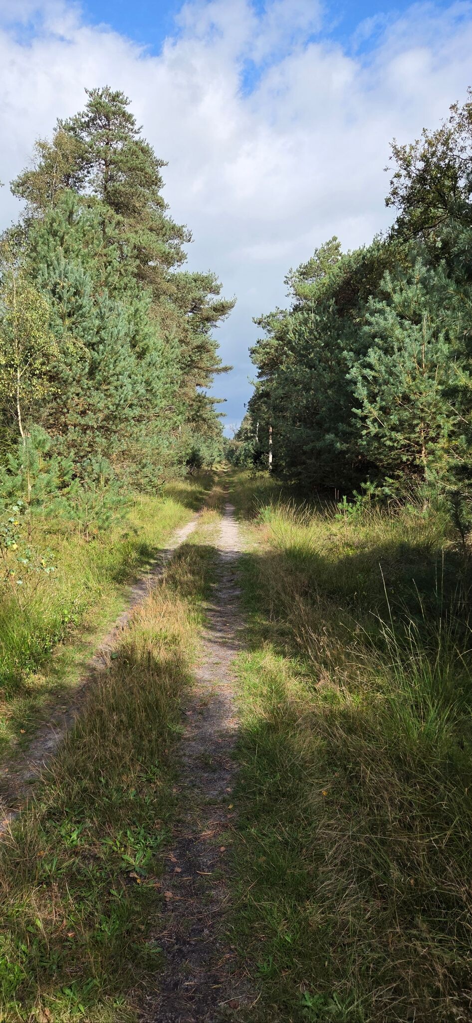 Woeste Route Salland