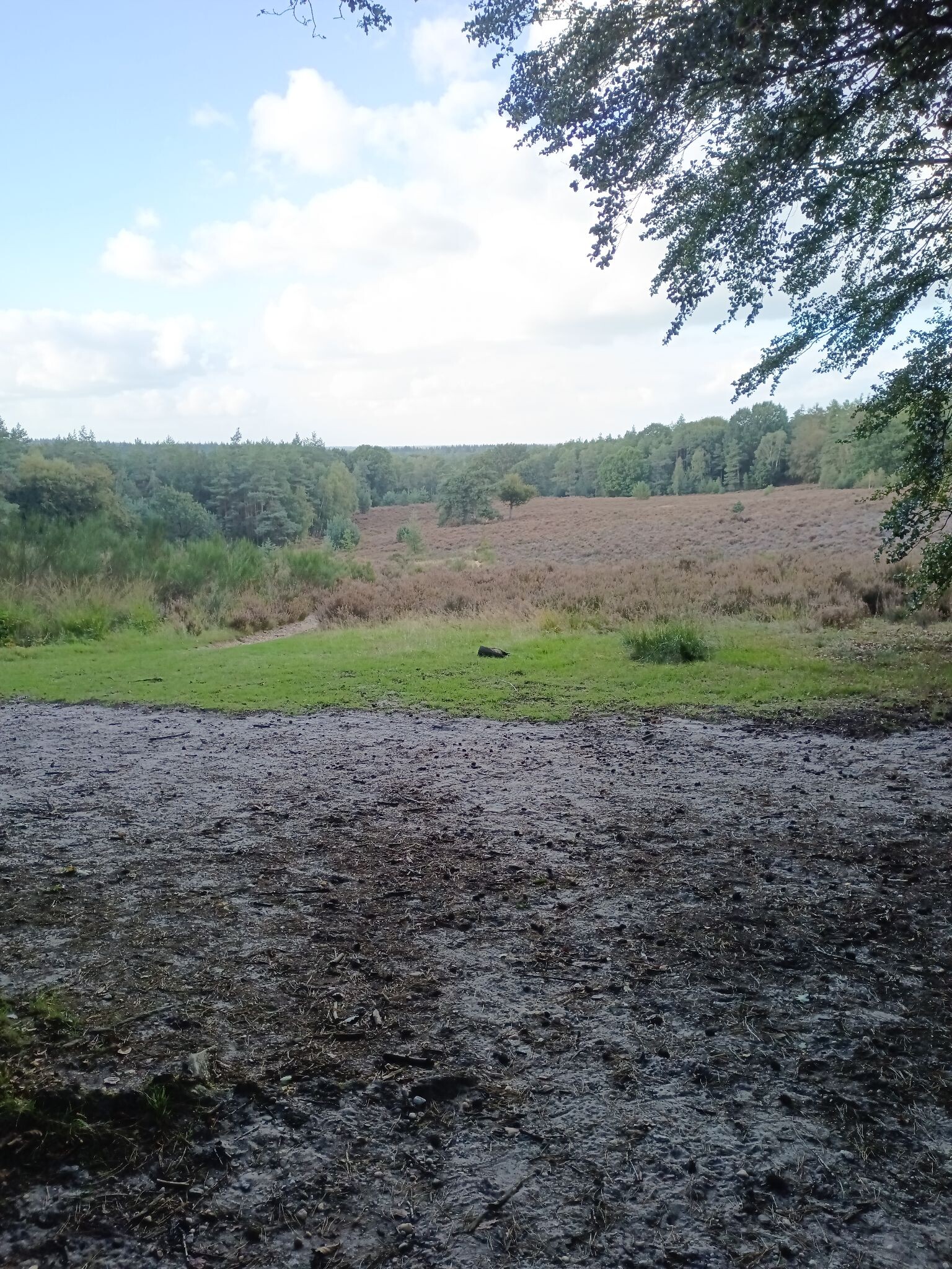 Boswachterspad Landal Amerongse Berg 