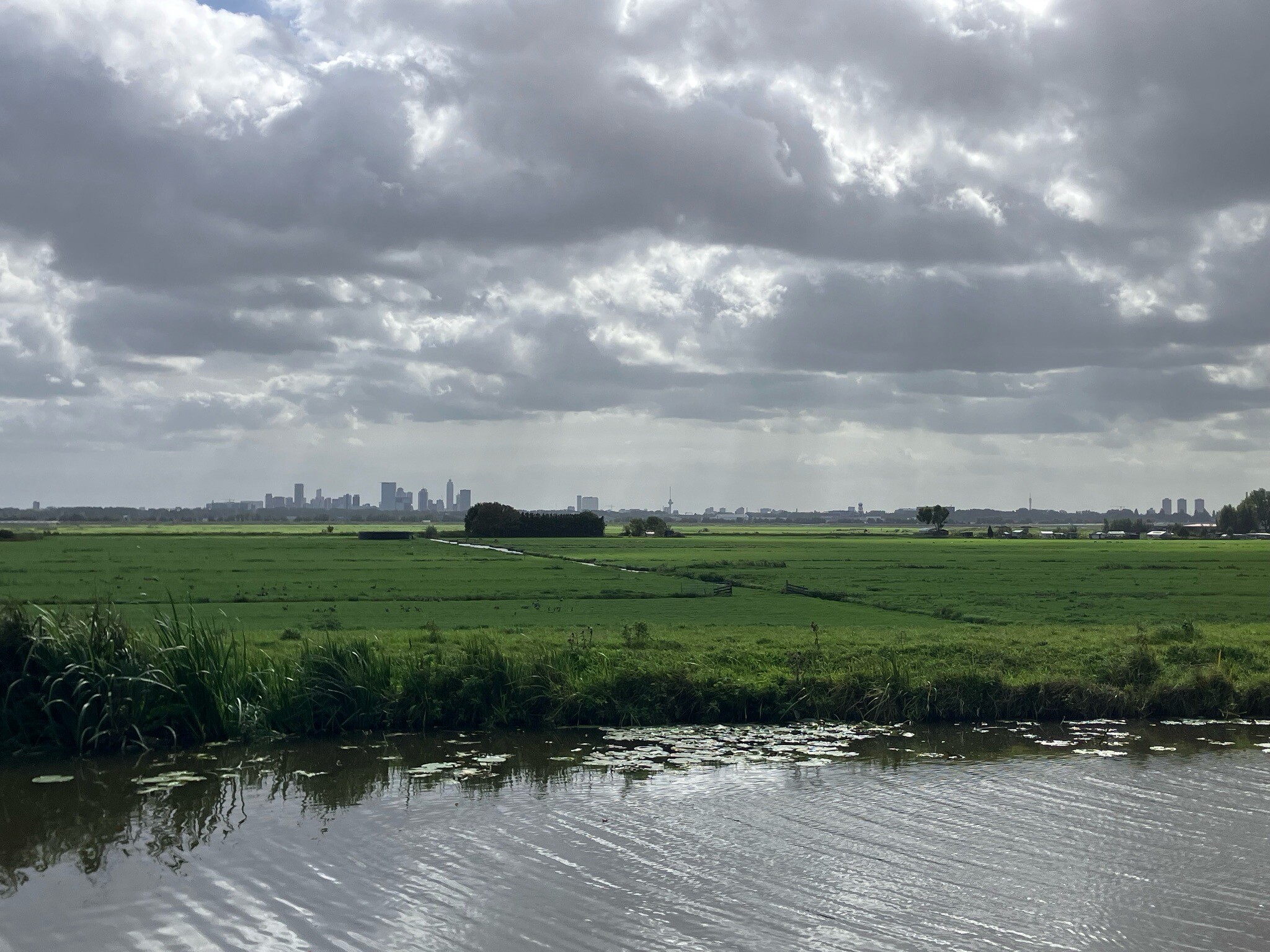 Rondje Ackerdijkseplassen