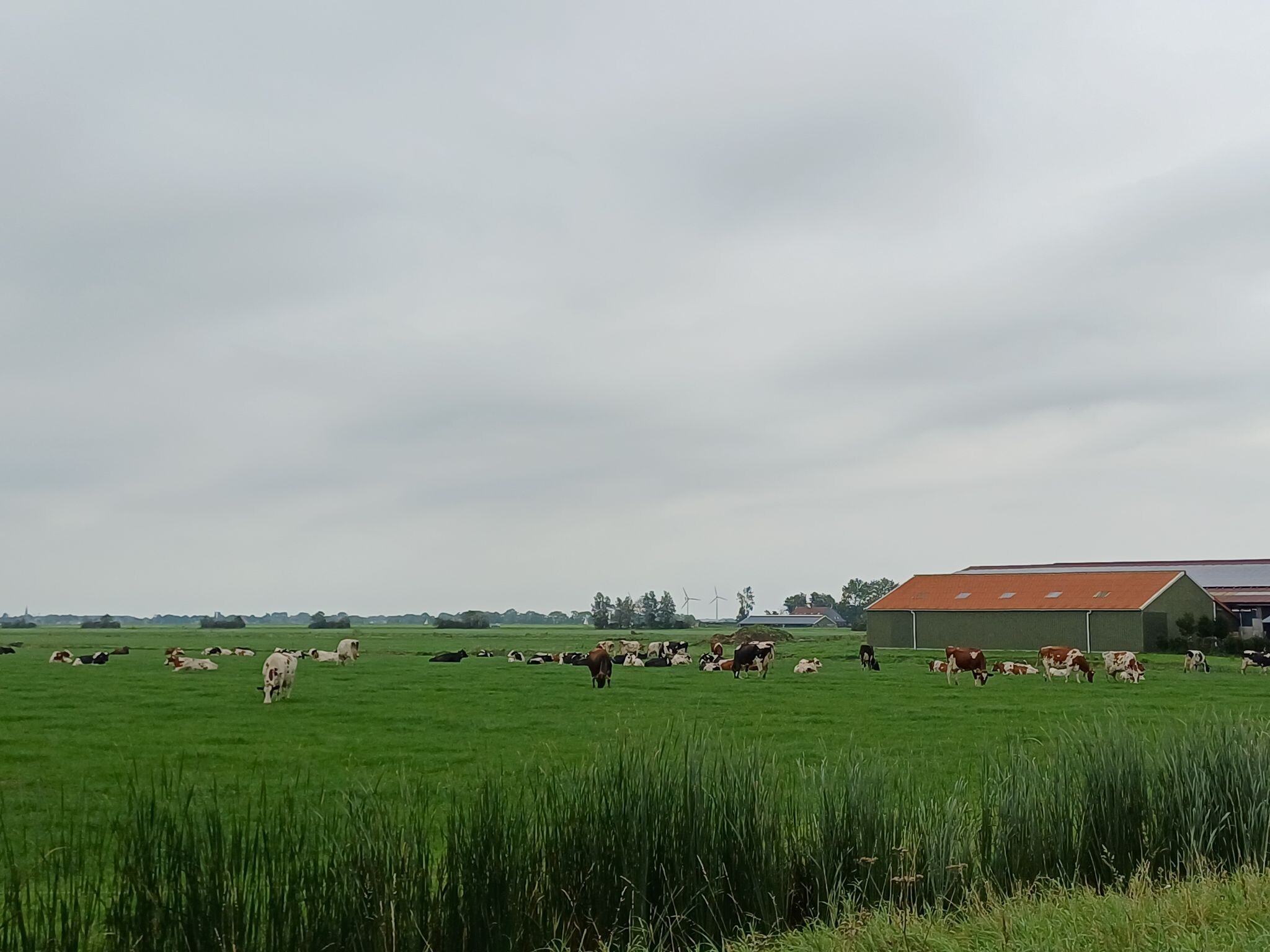 Wandelroute Heeg - Sandfirden - Westhem