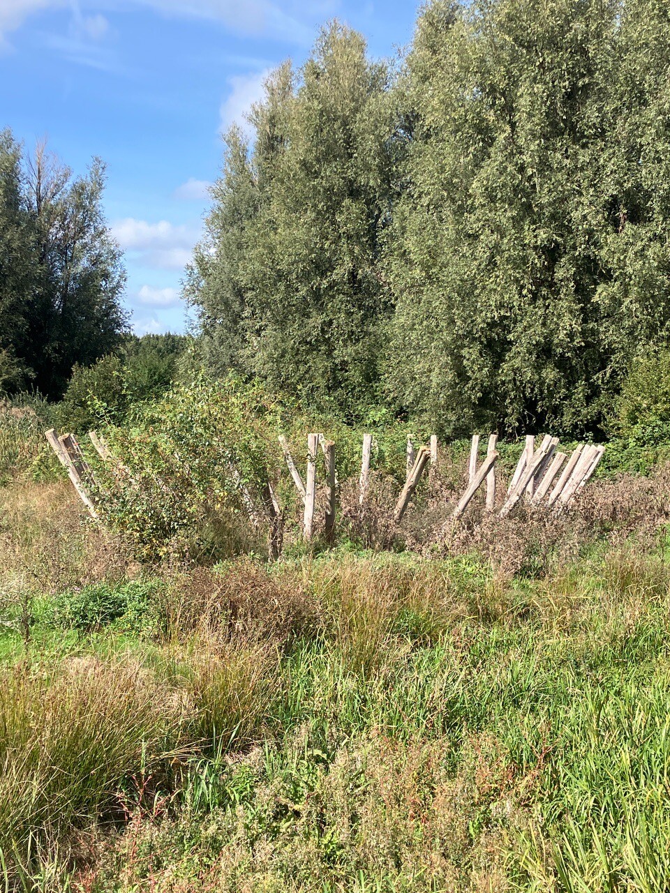 Zeewolde