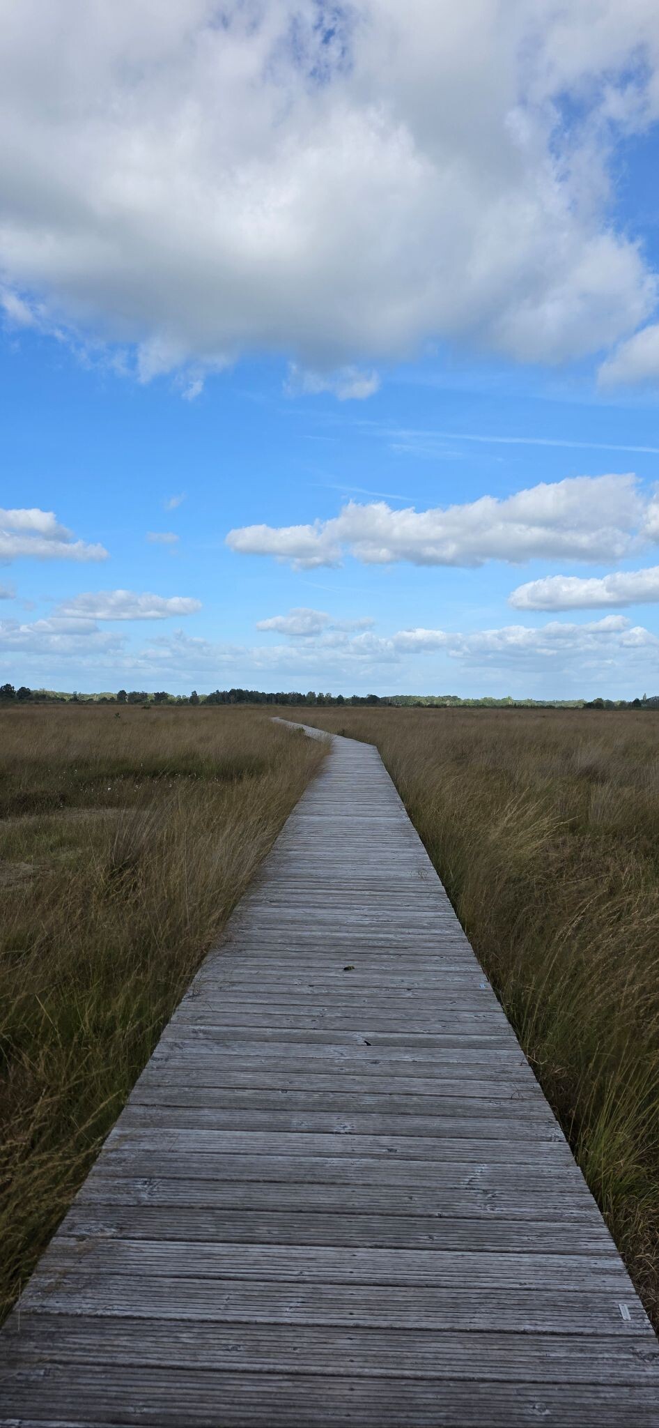Wandelroute Haaksbergerveen Siberiëroute