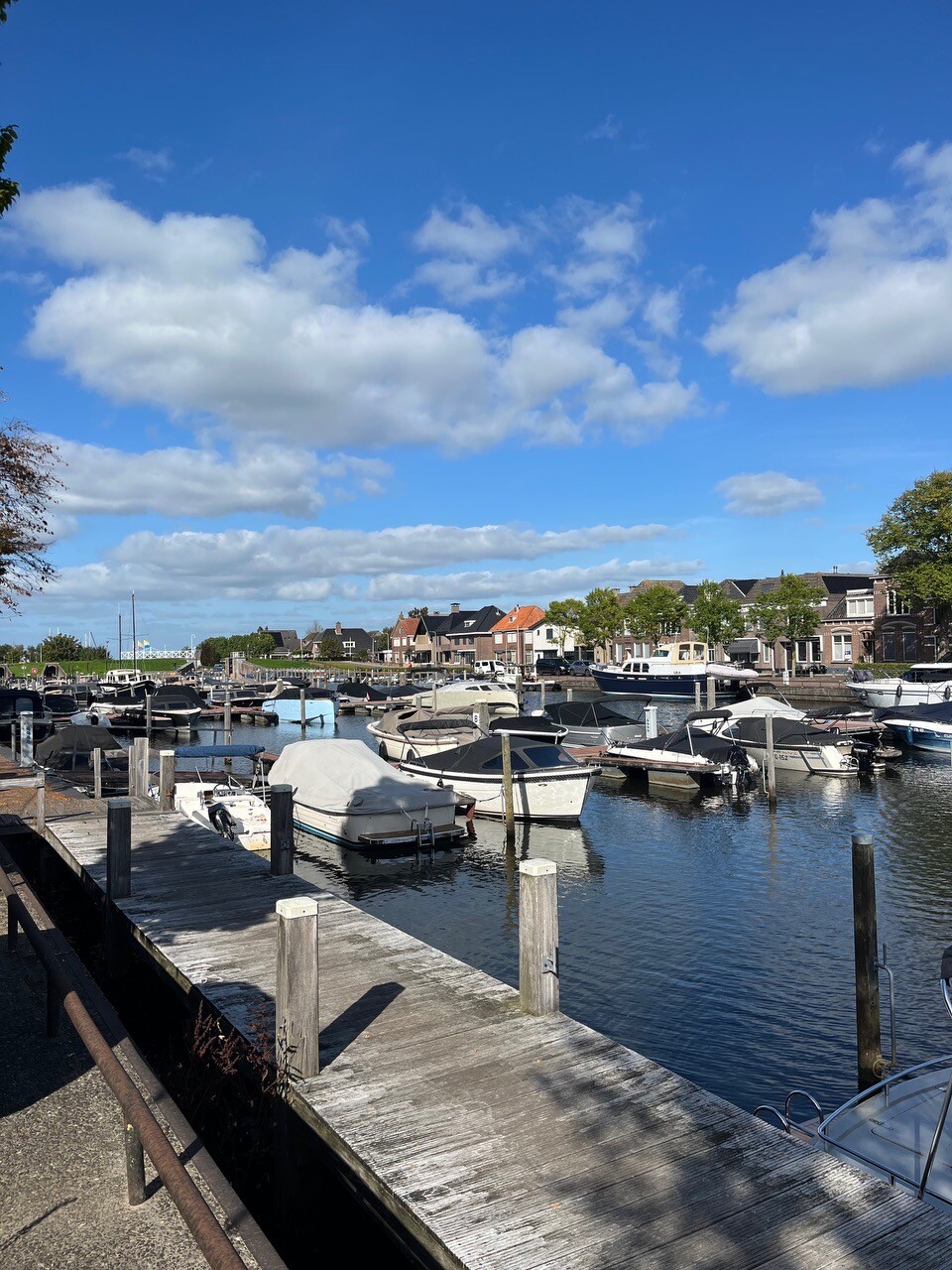 Genemuiden - Groen