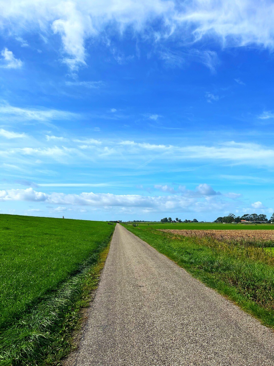 Kamperzeedijk-Oost - Rood