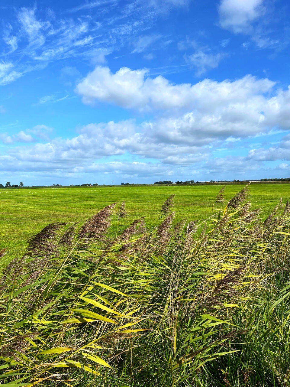 Kamperzeedijk-Oost - Rood