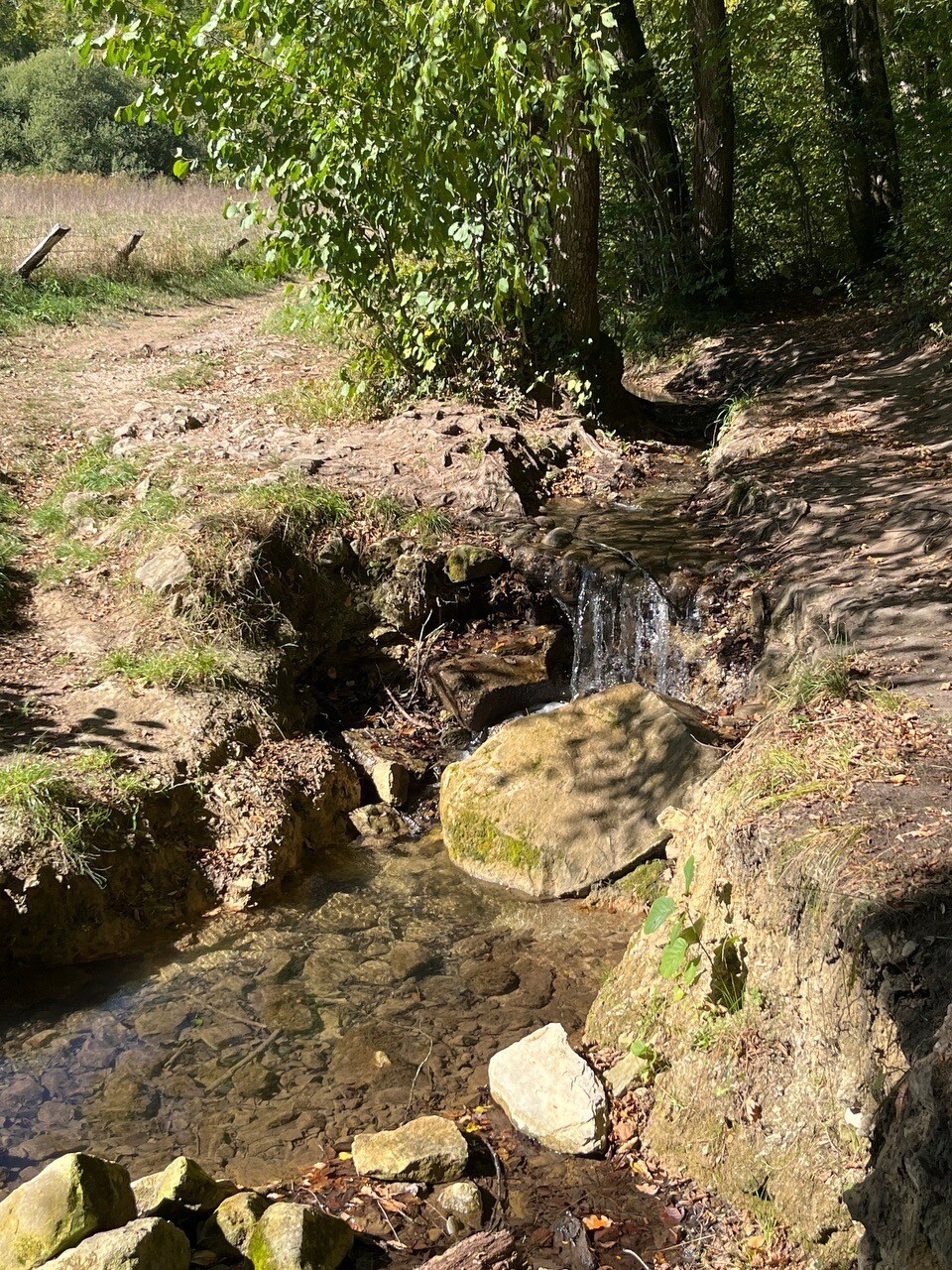 Mullerthal W5