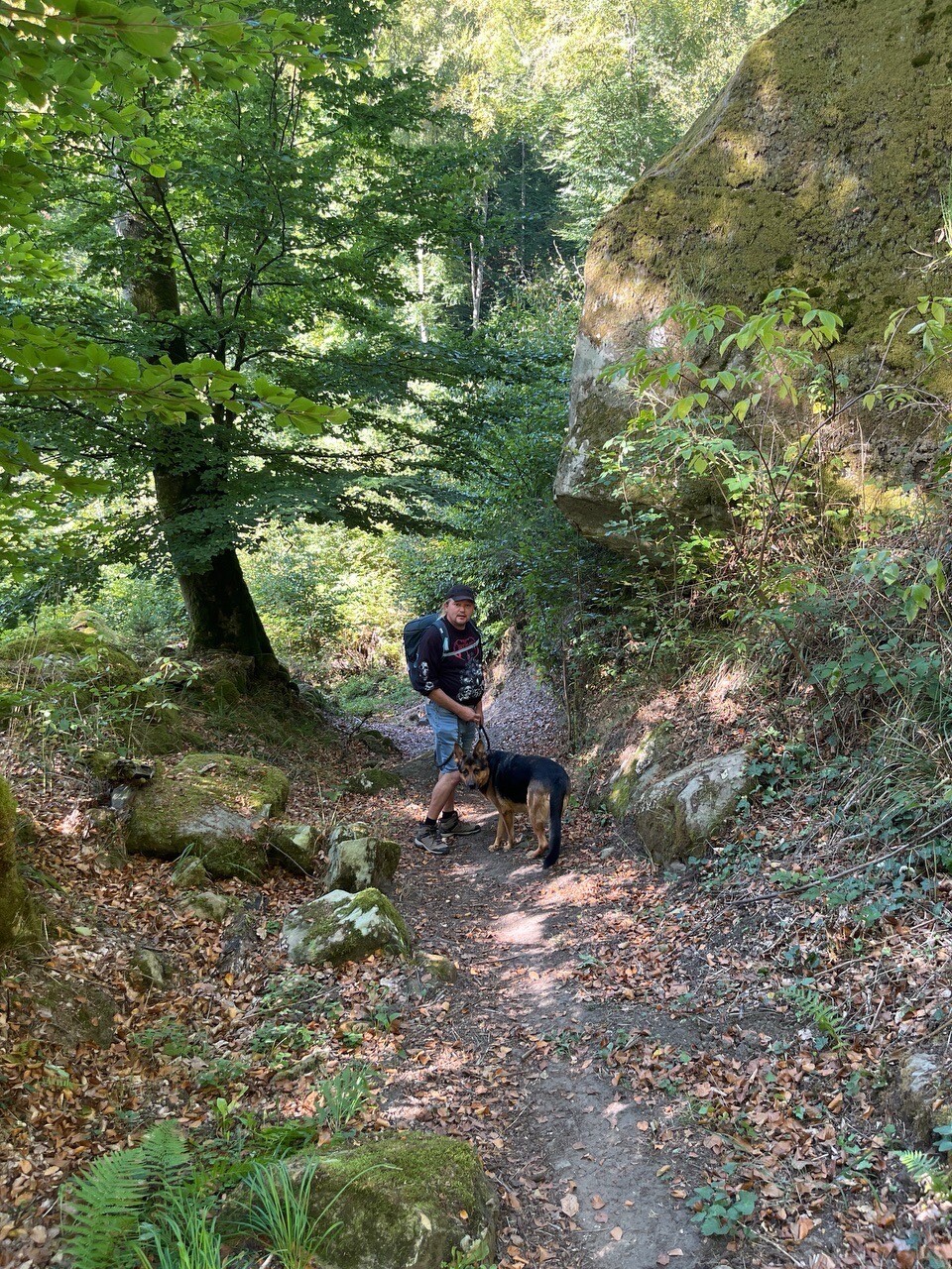 Waldbillig