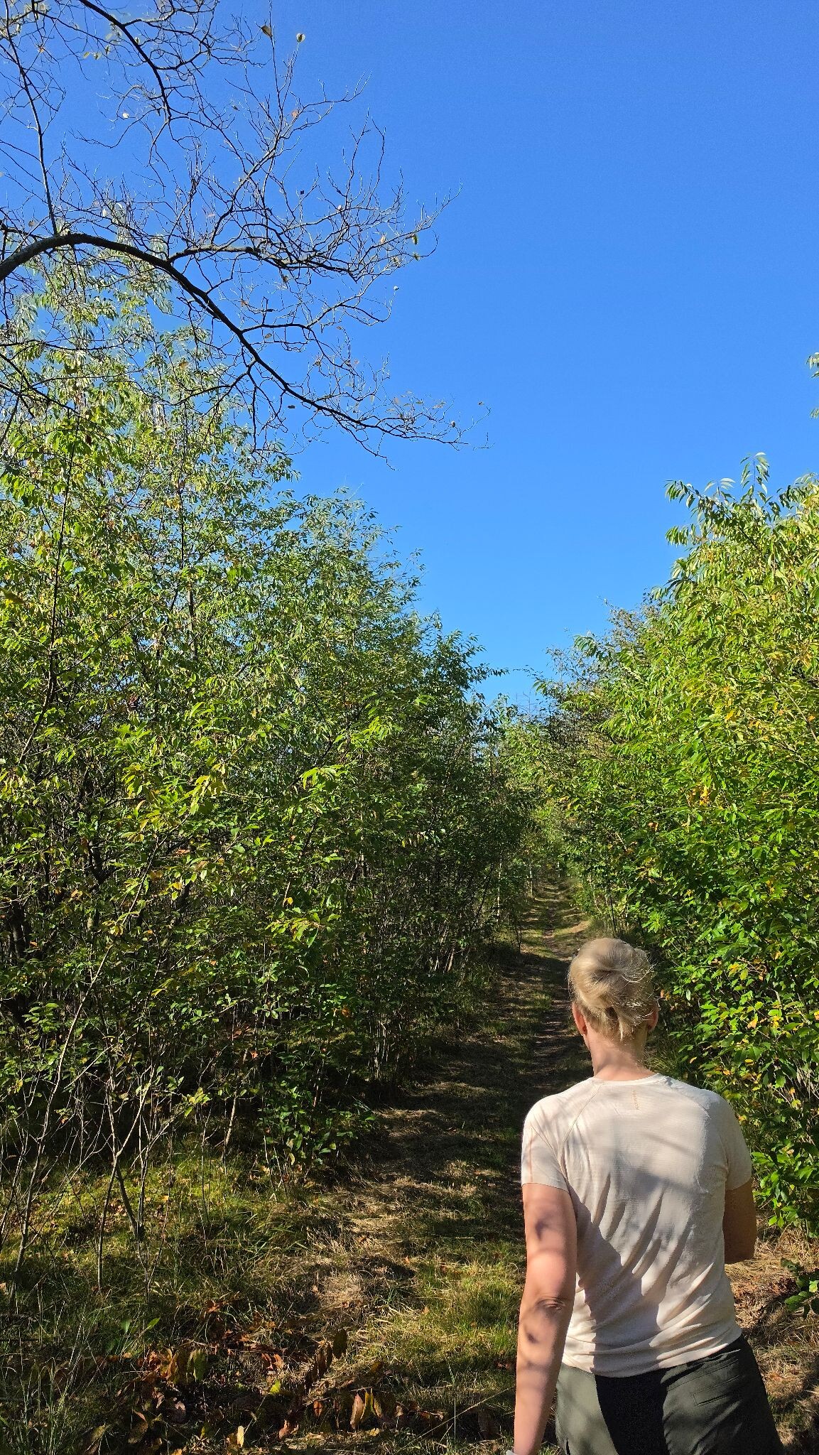 Wandelroute Oude Willem