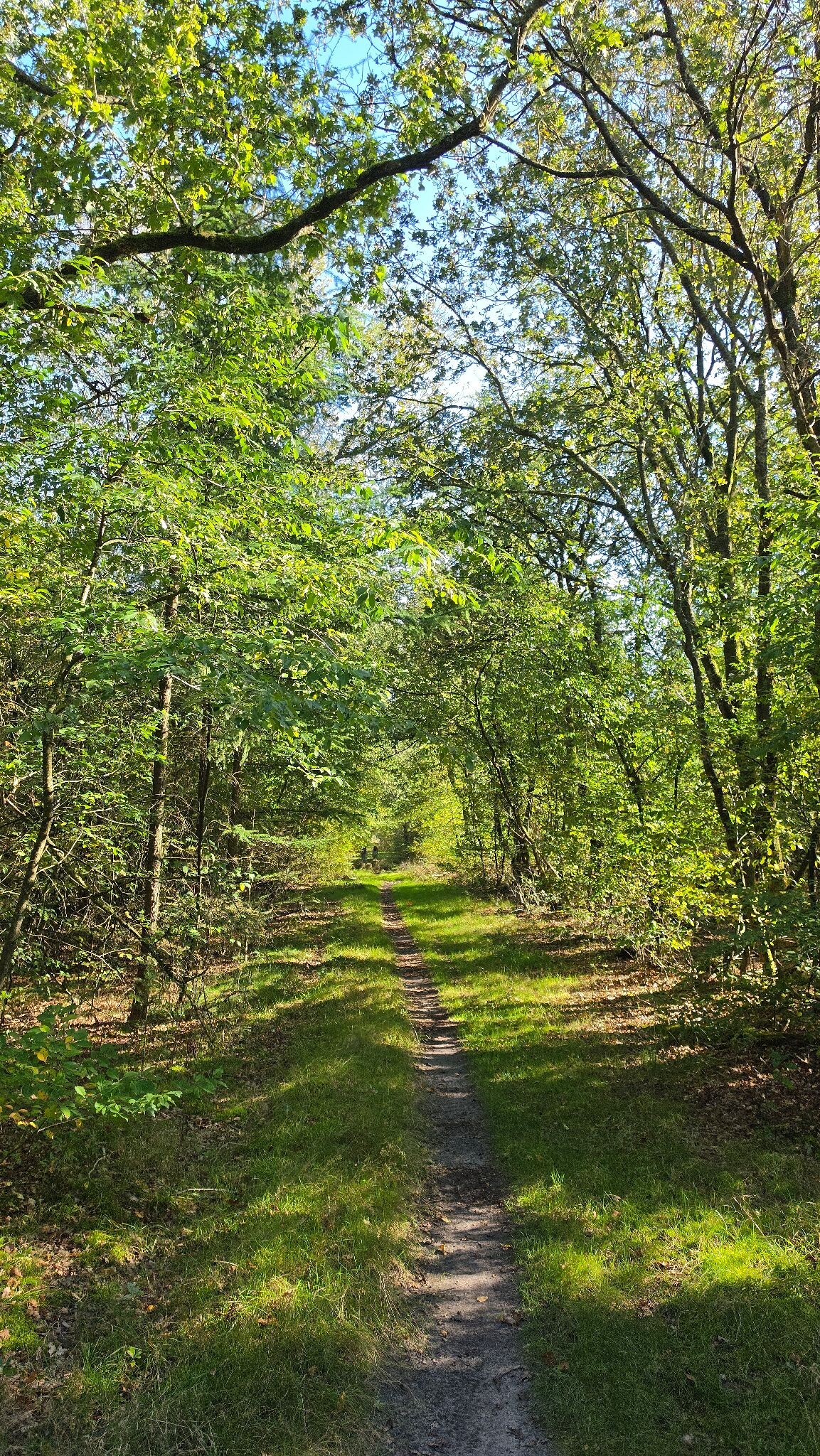 Wandelroute Oude Willem