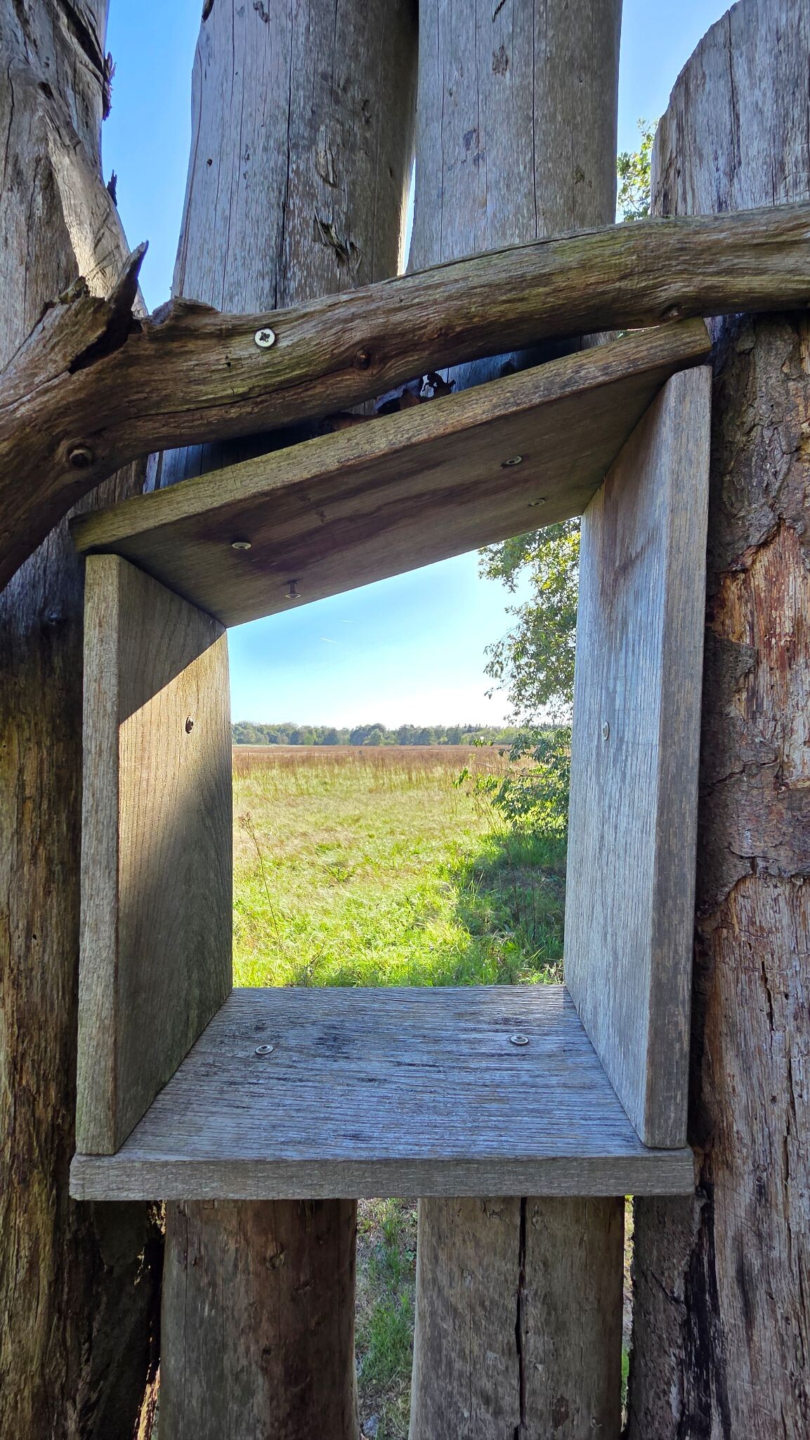 Foto van opname