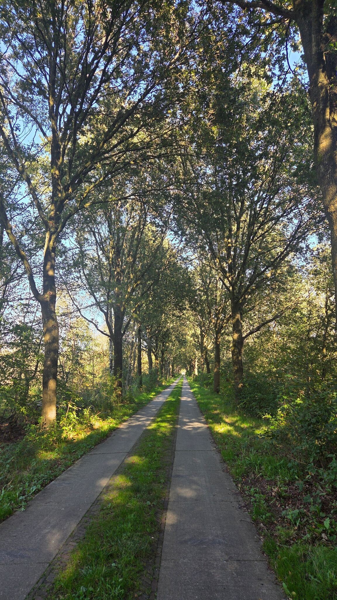 Foto van opname