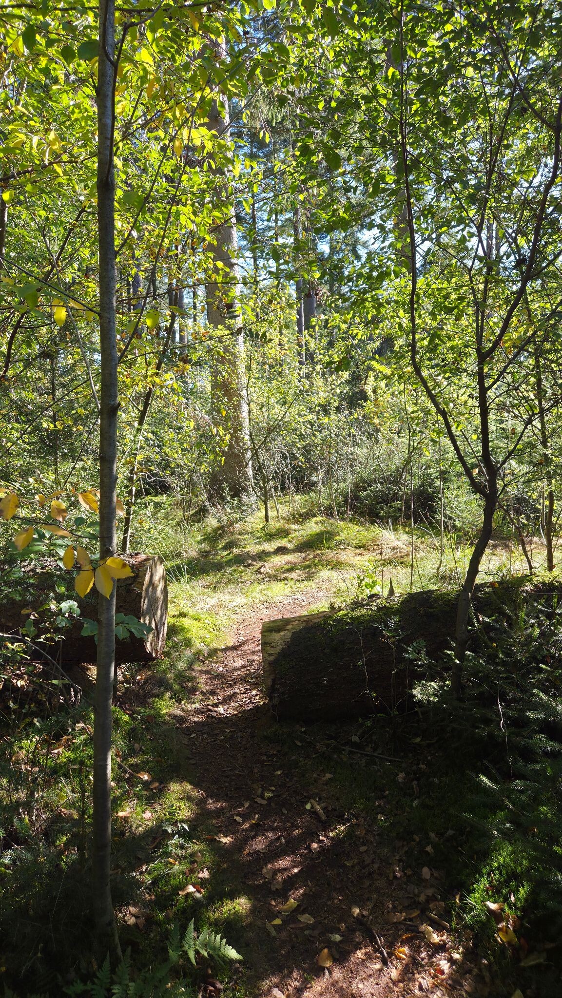 Wandelroute Oude Willem