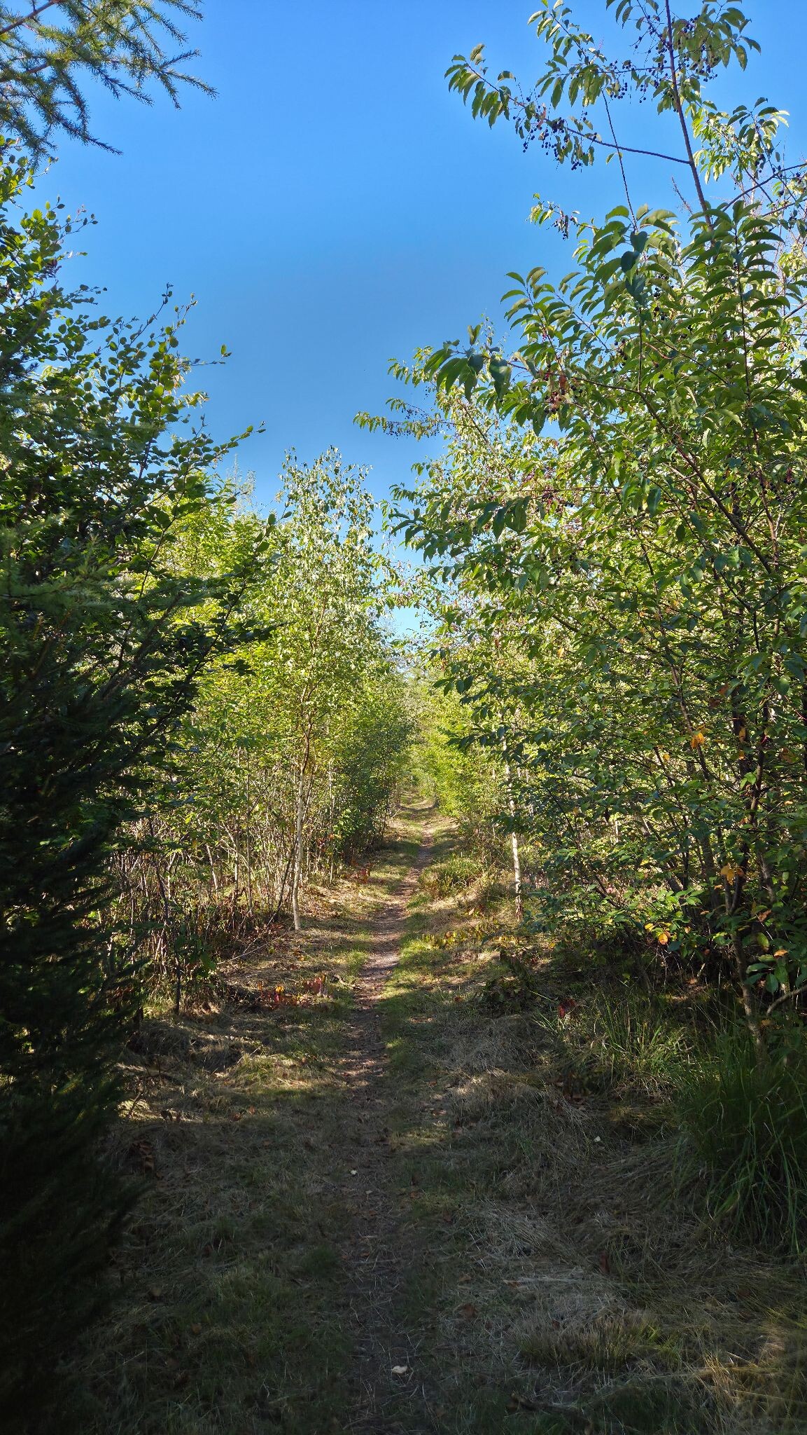 100 km van Appelscha