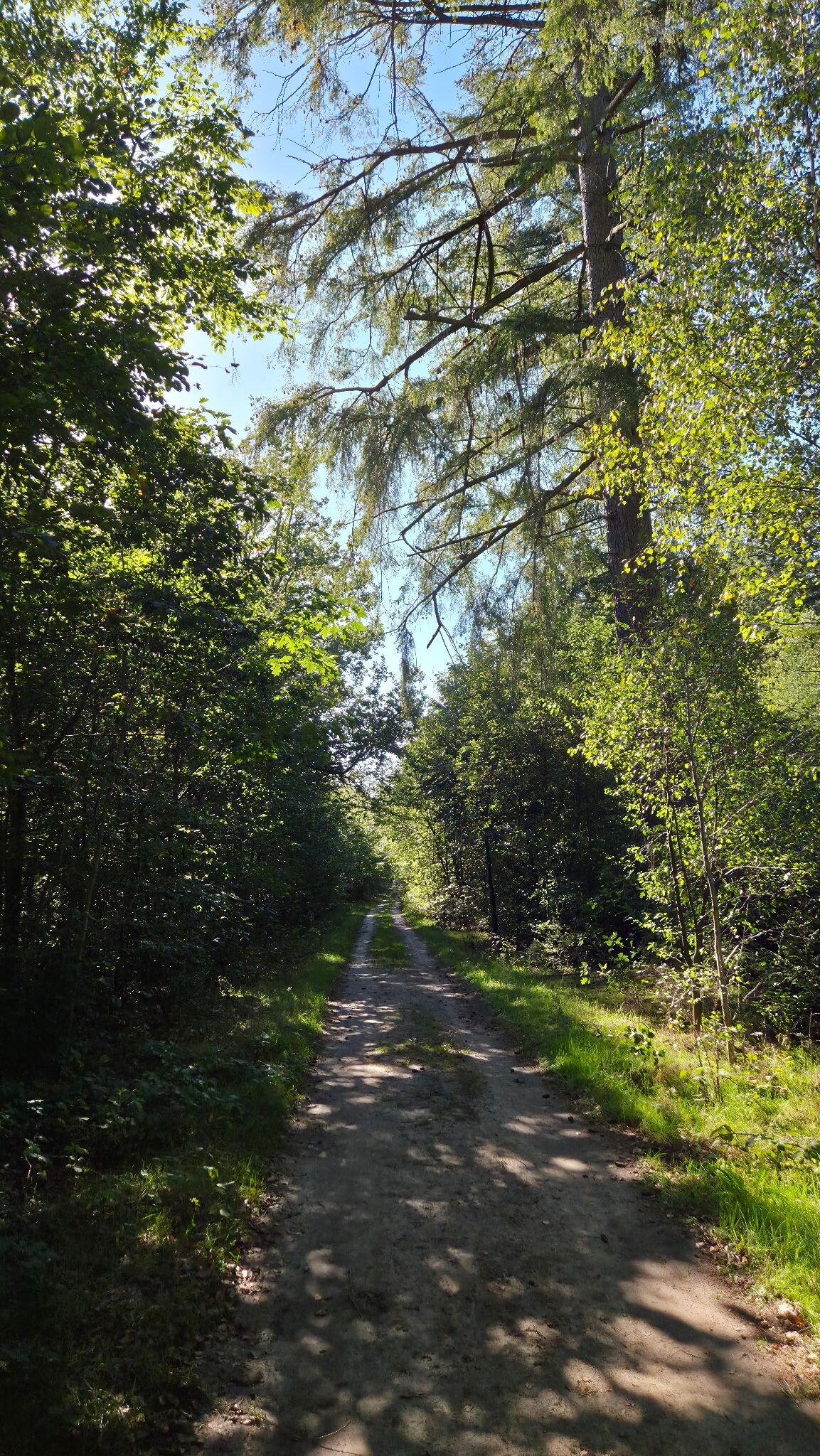 Wandelroute Oude Willem