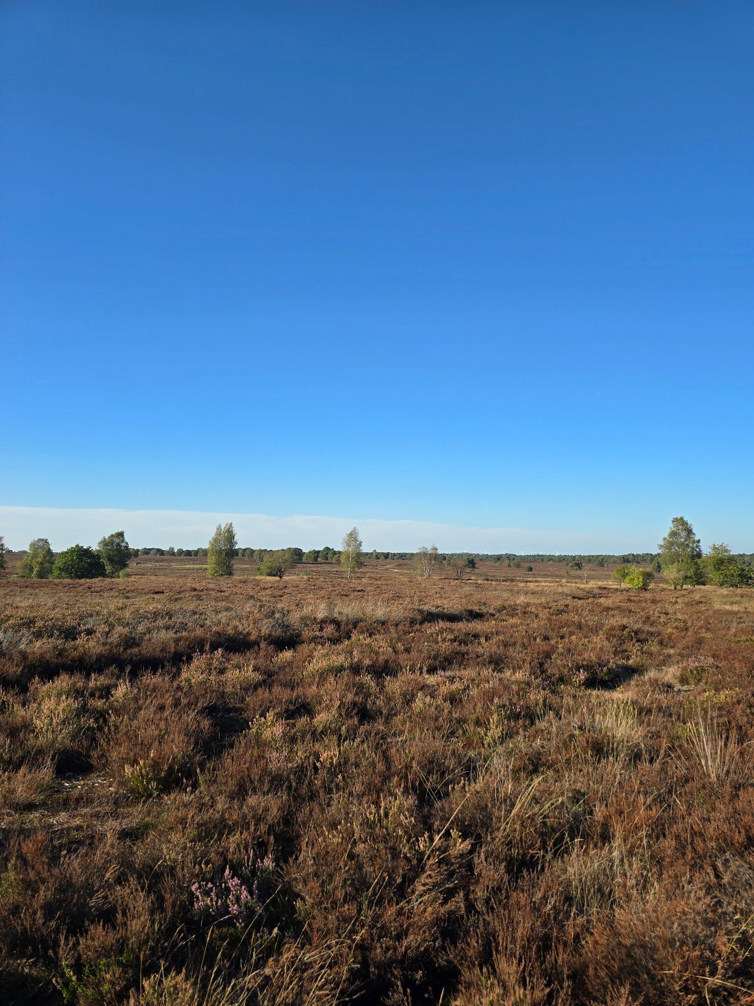 Putten - Leuvenum · Veluwe Zwerfpad etappe 8